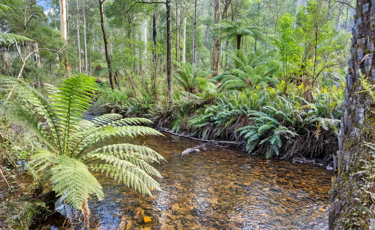 Relaxing by the river 