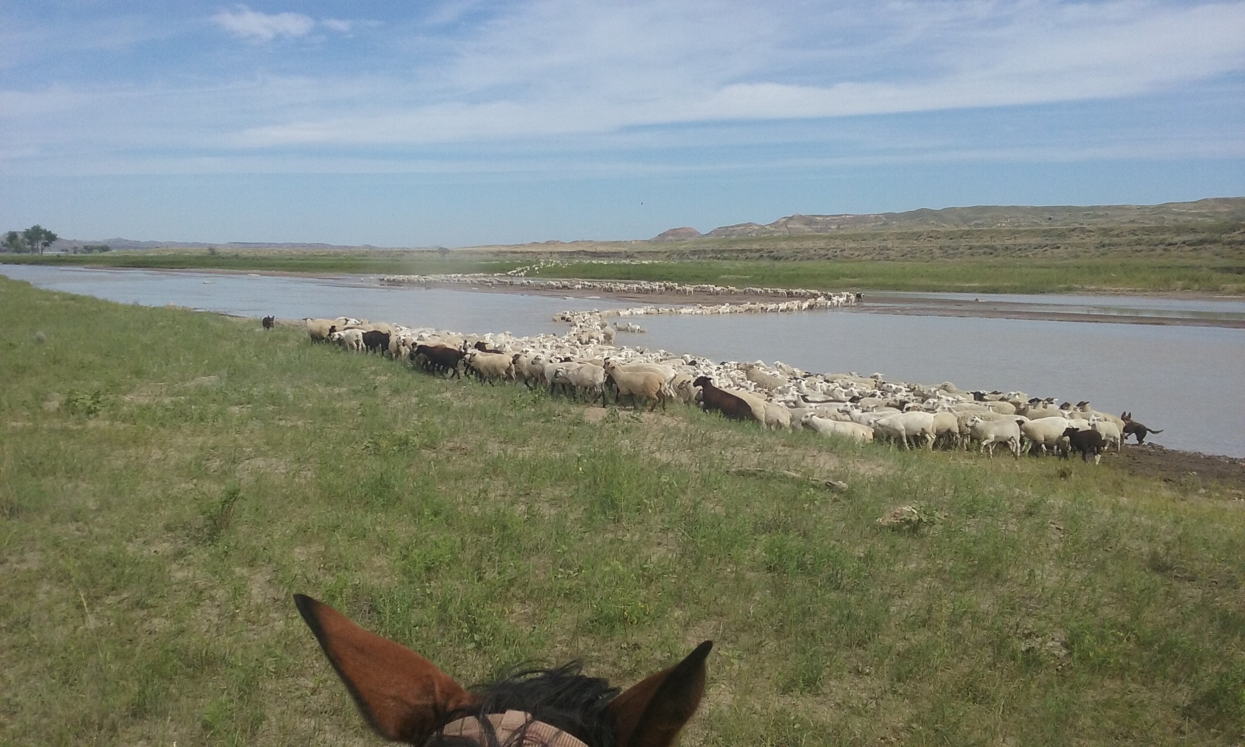 Yellowstone River Ranch