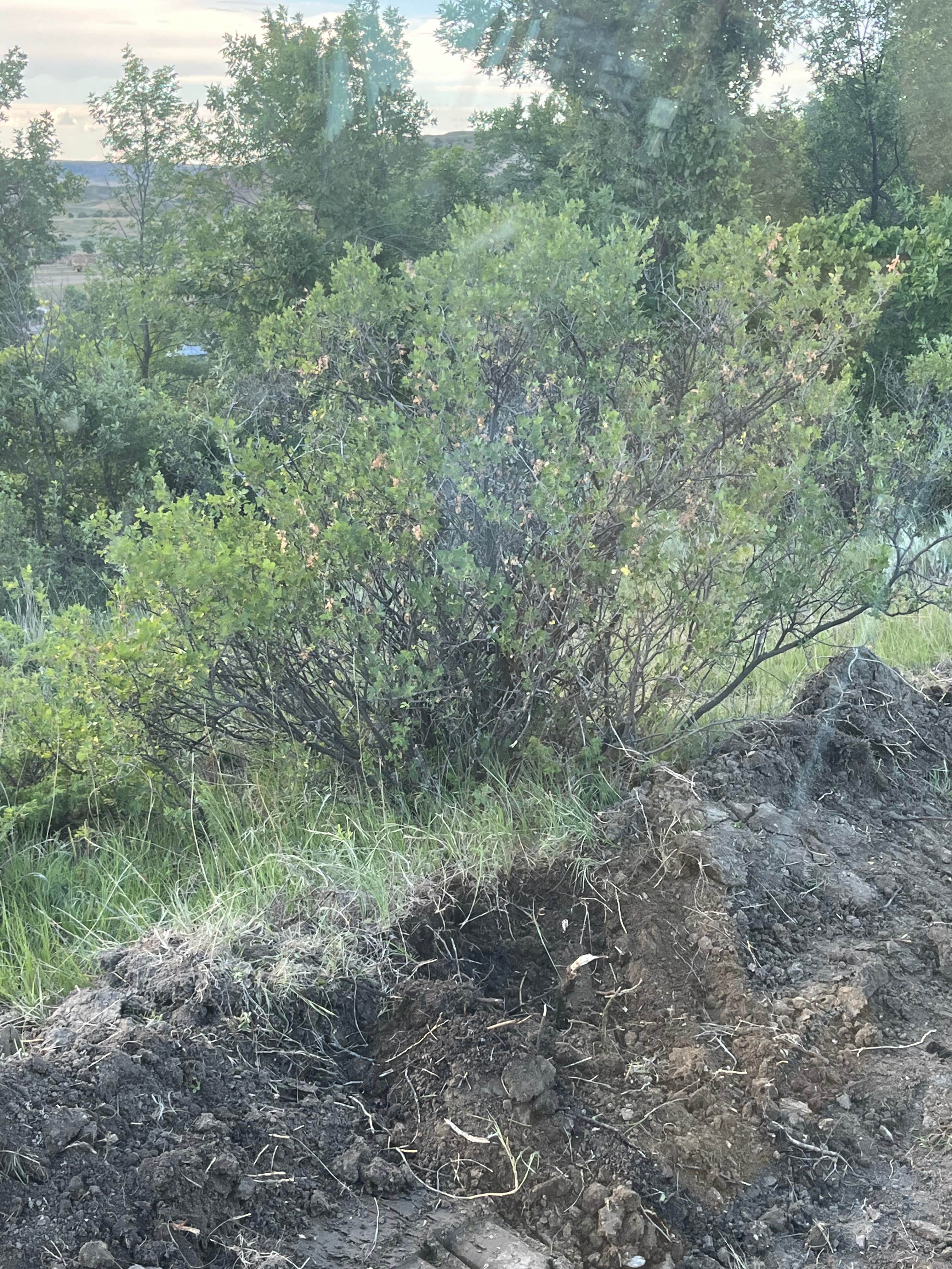 Yellowstone River Ranch