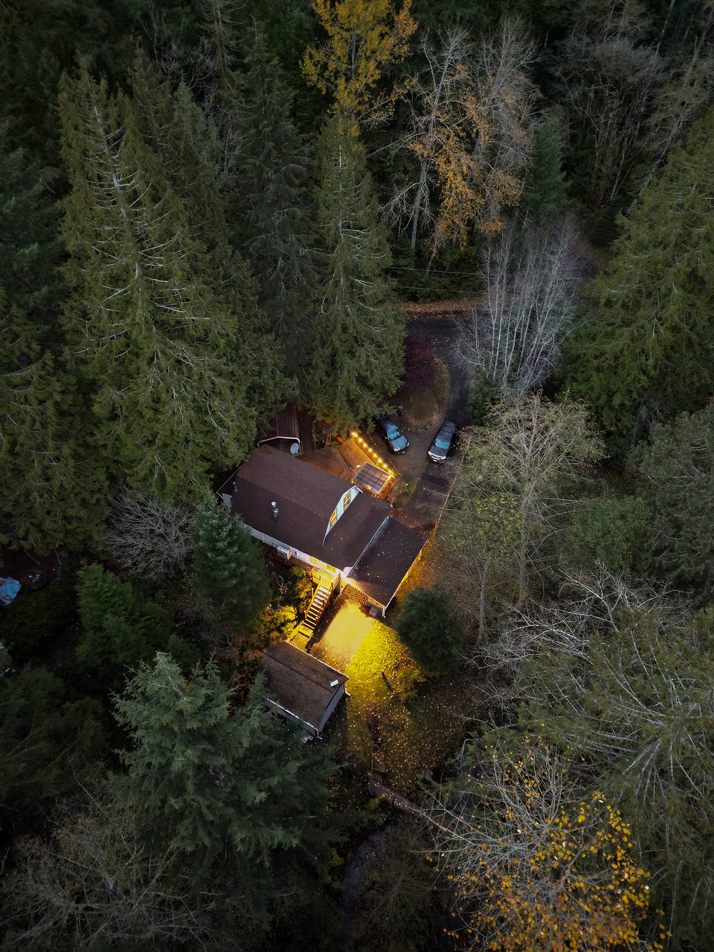 Olympic Wanderer~Creekside~HotTub