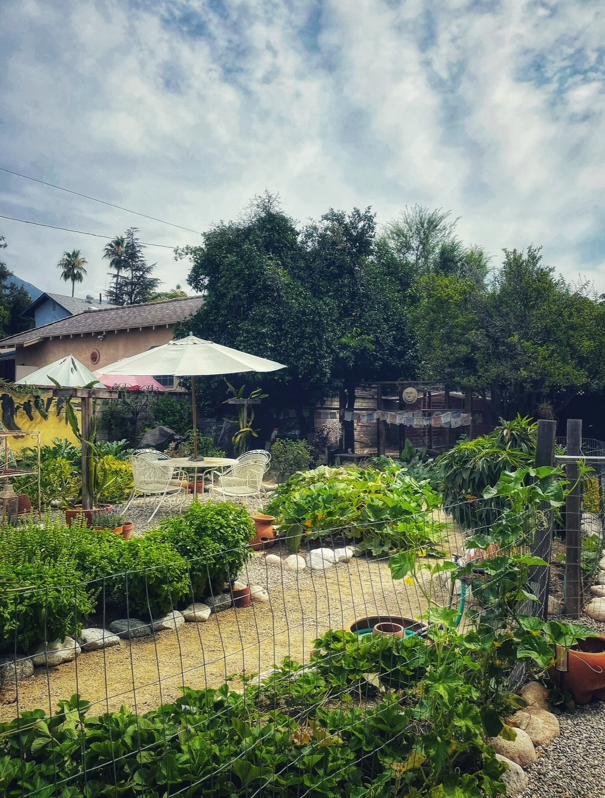 Pepper Tree Cottage tiny home