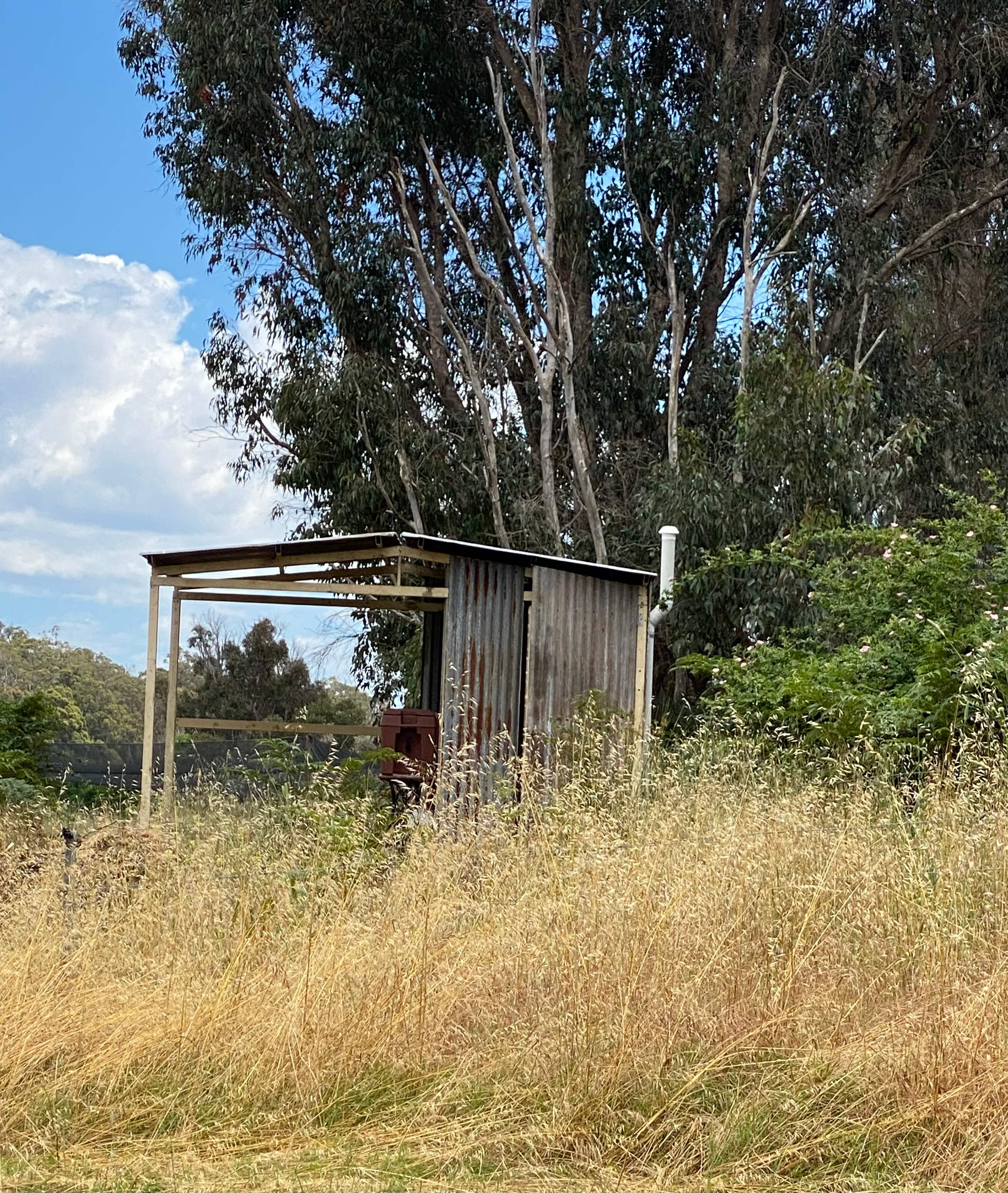 Eco green loo
Shower coming 
