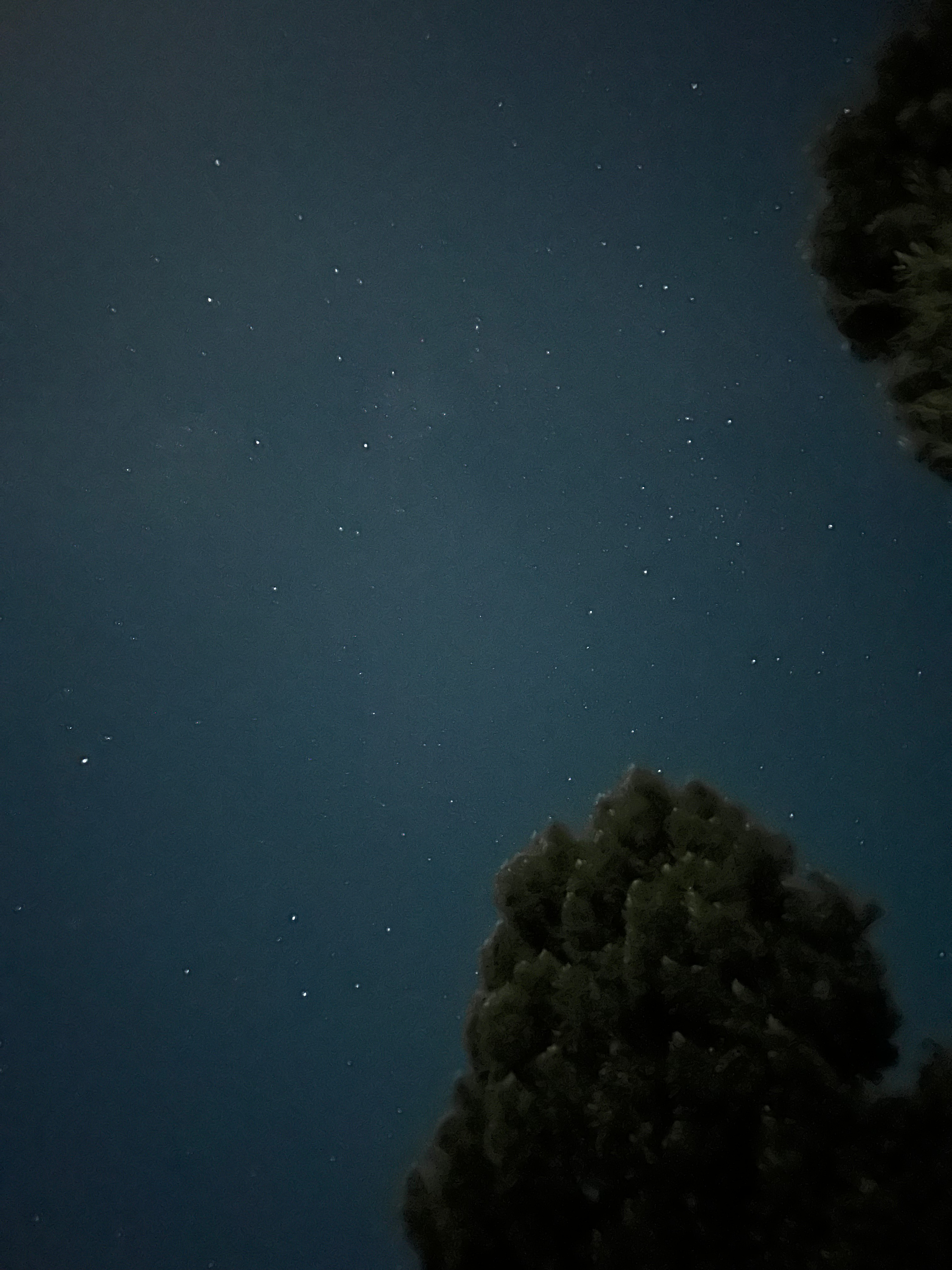 Comptche Matrix @ Sunny-land