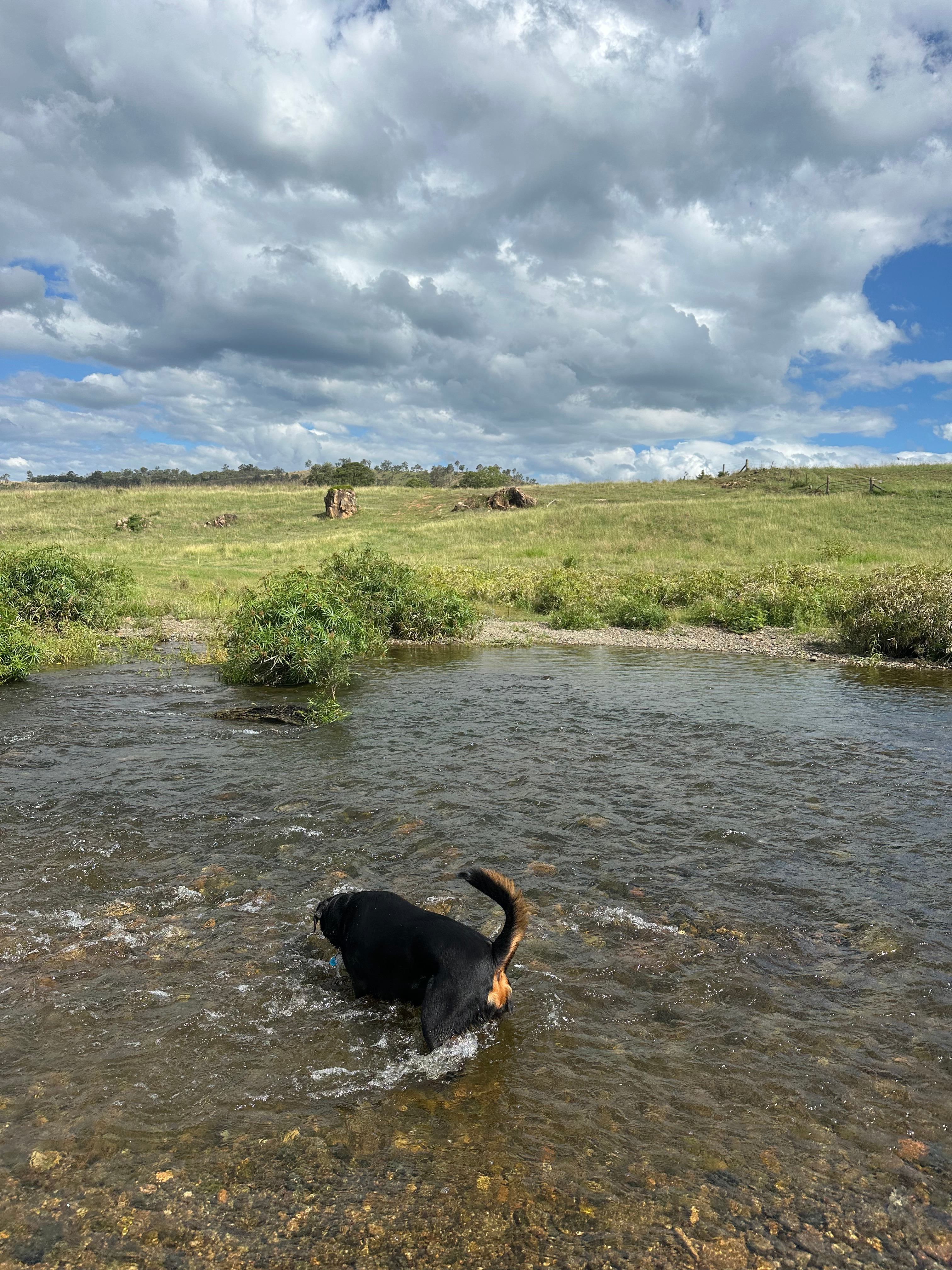 Running creek playtime