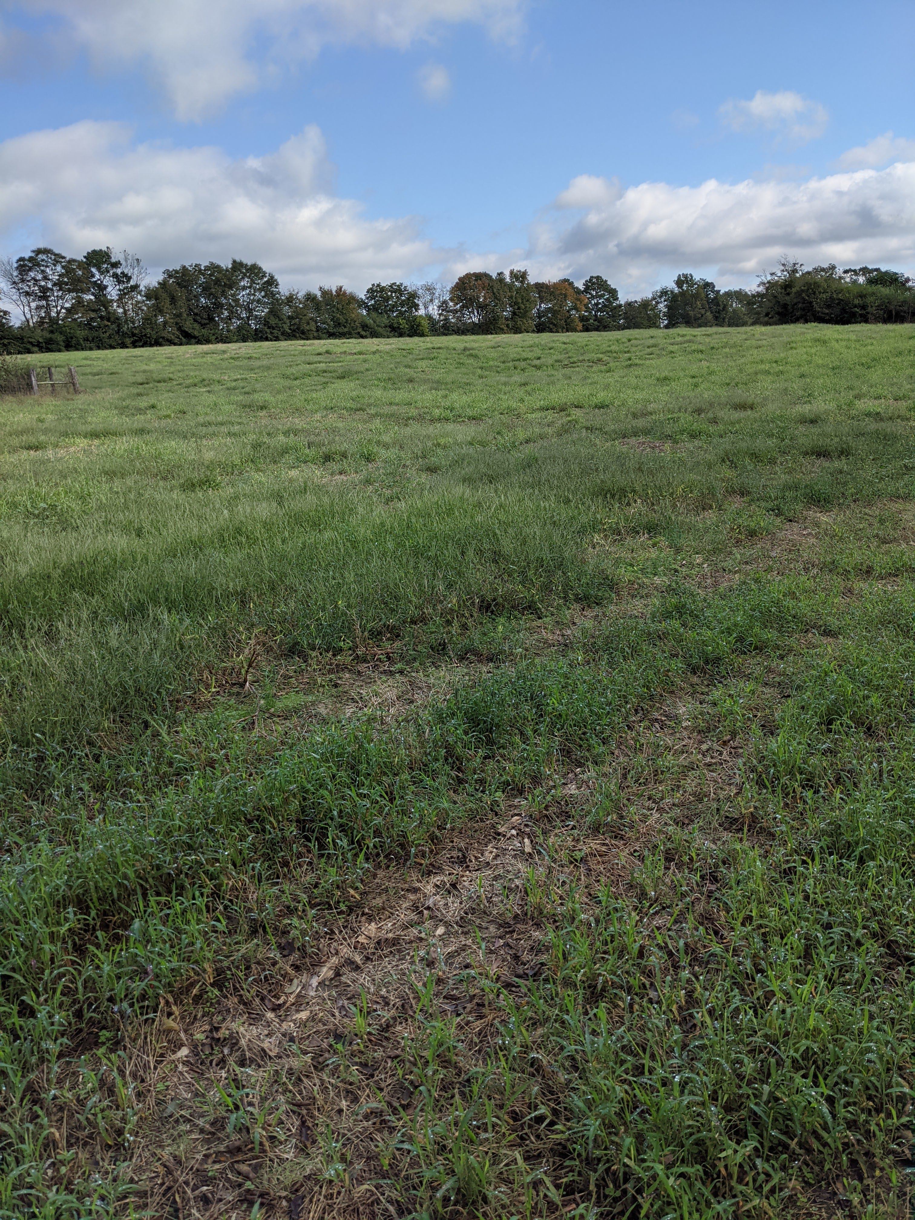 Eagle Point Dry Dock