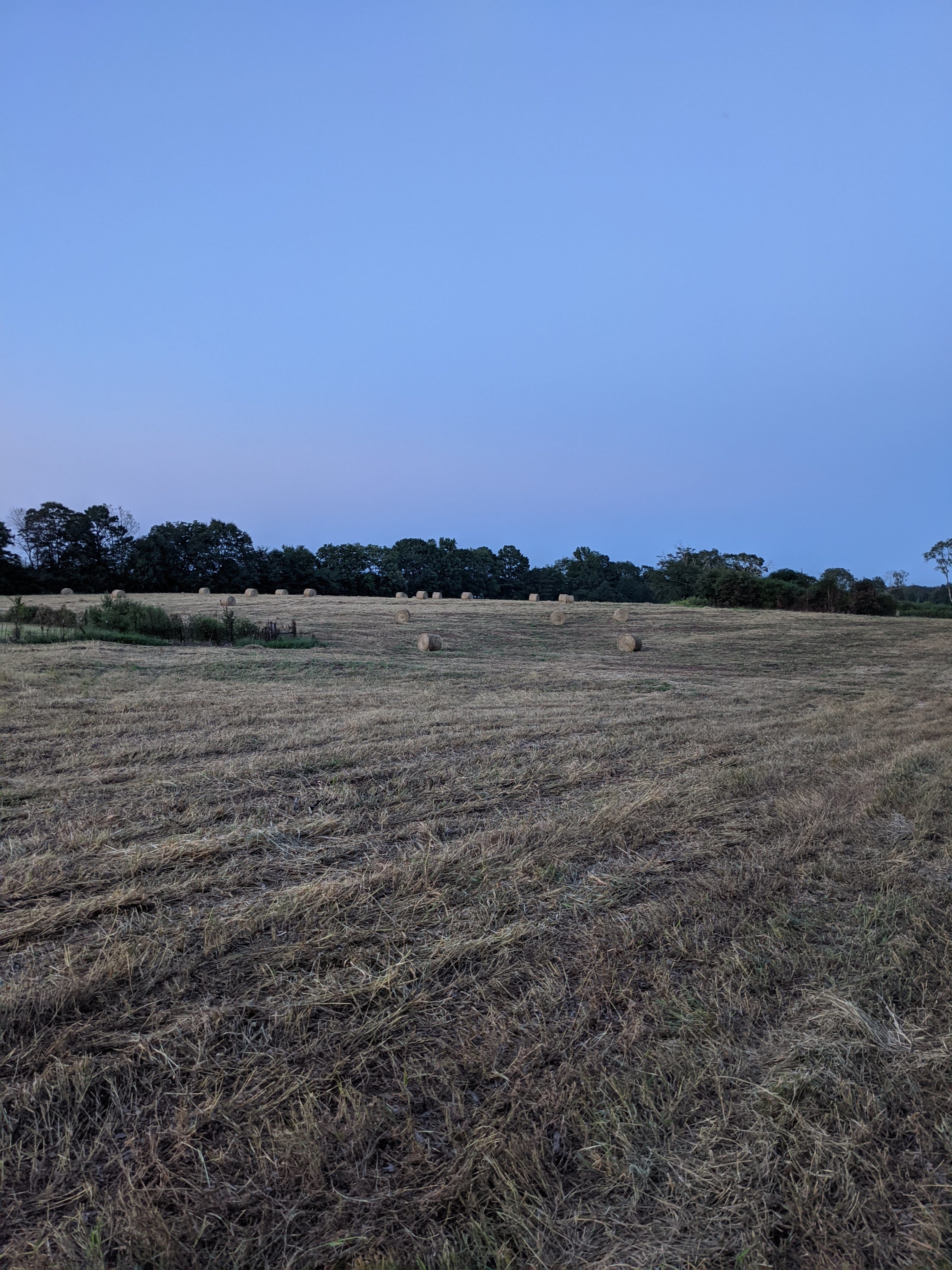 Eagle Point Dry Dock