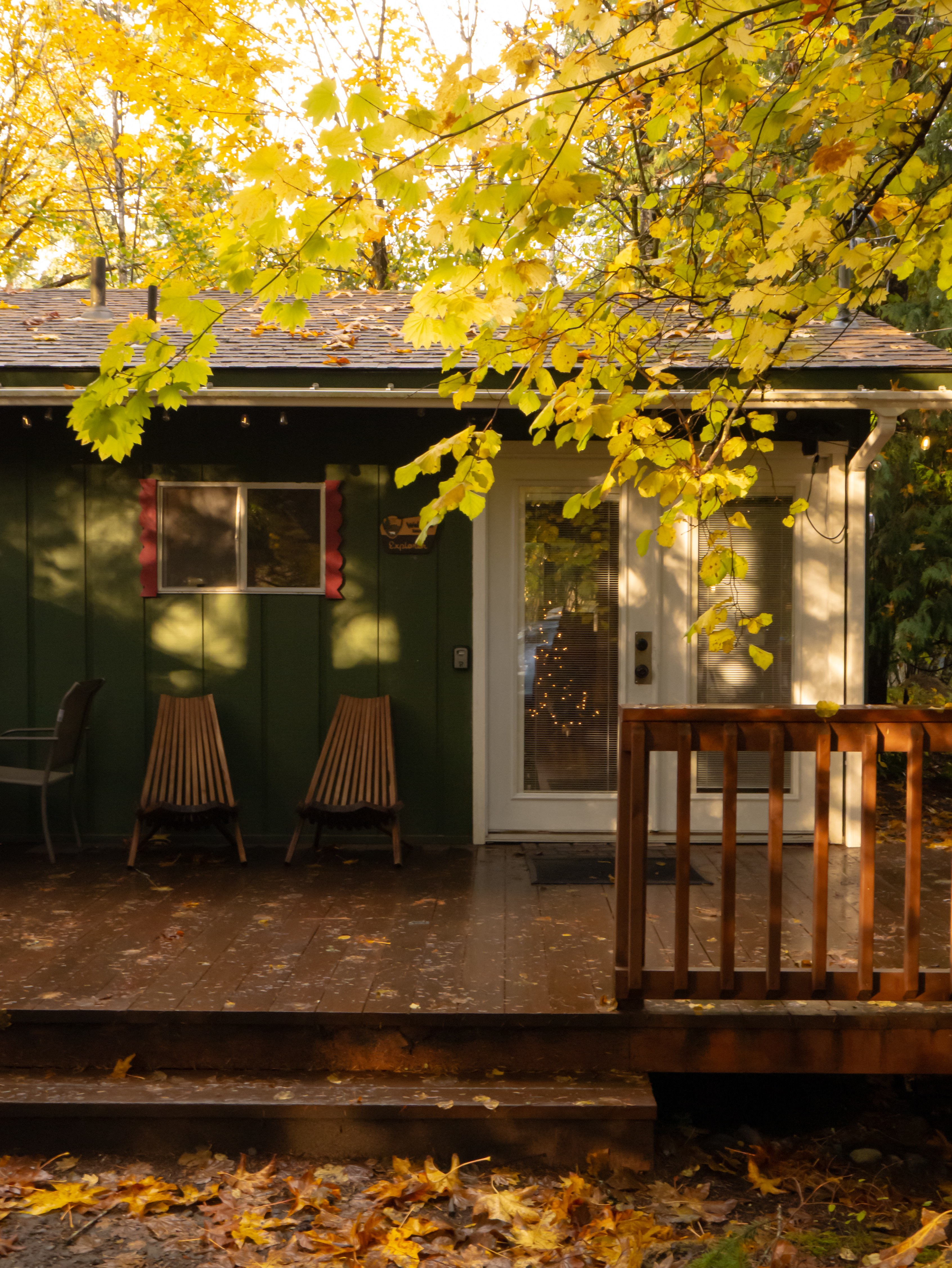 Rainier Explorer|MRNP|Ski|Hottub