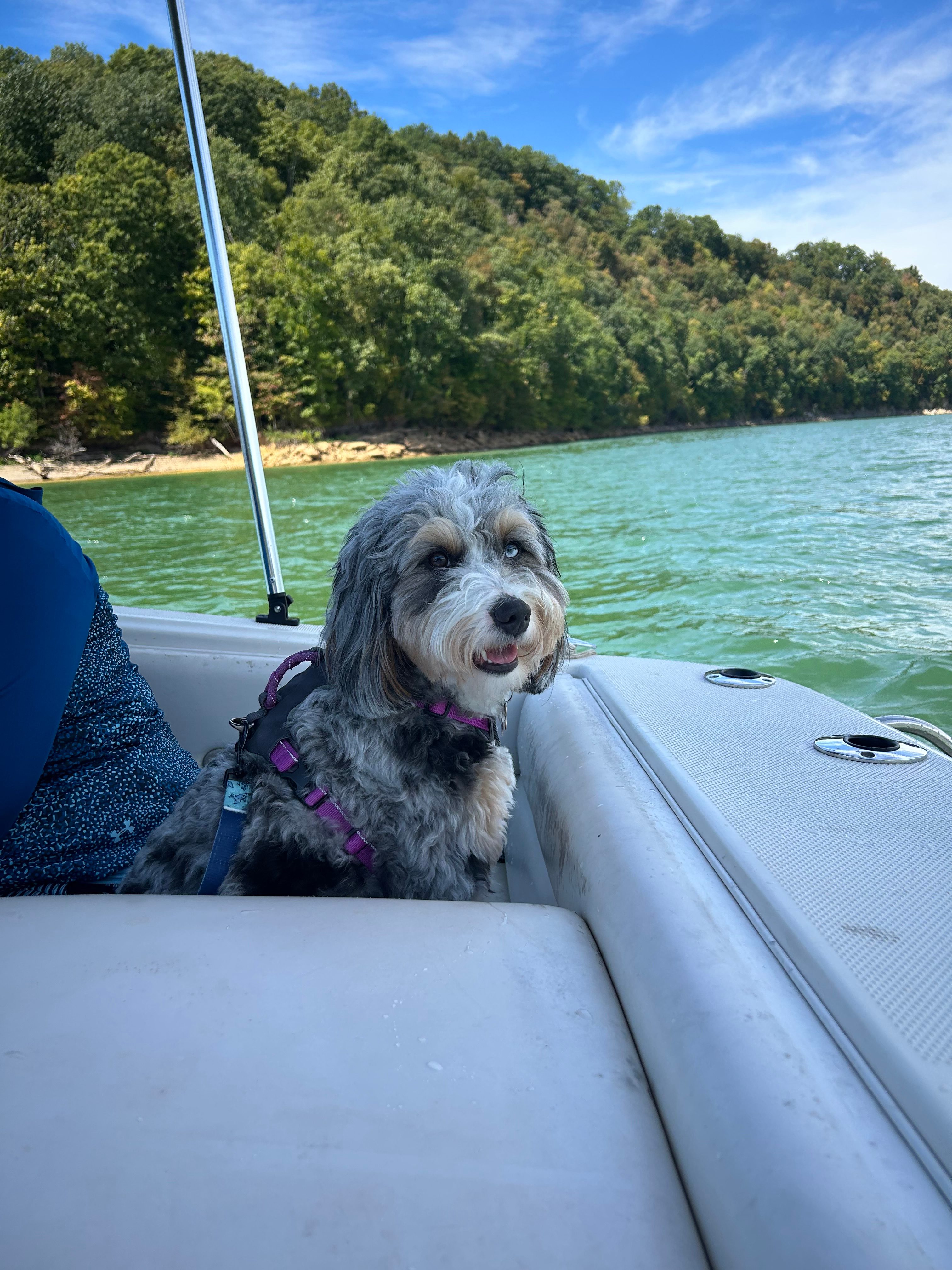 The Backwoods Basecamp