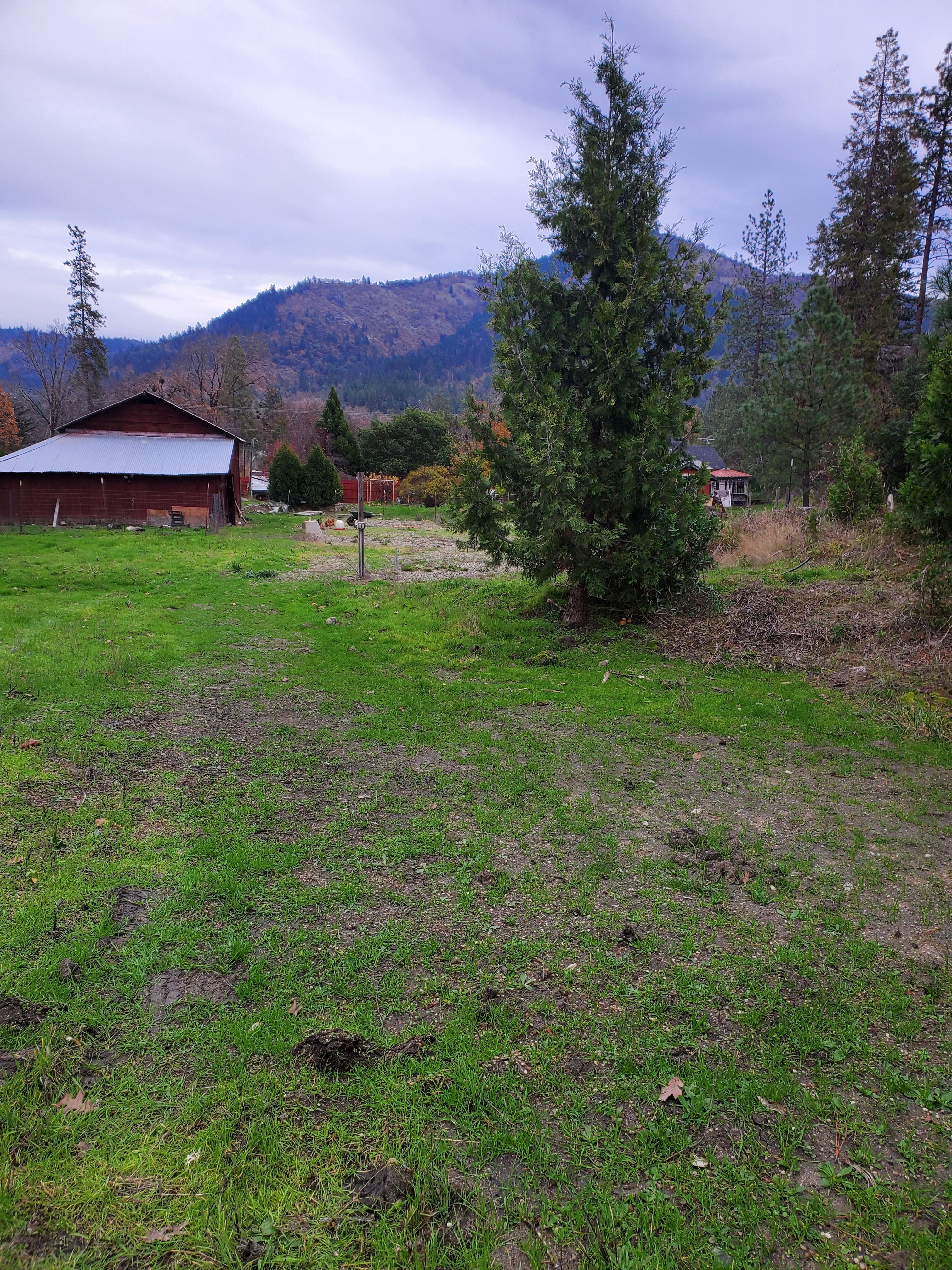 Little Critters Homestead