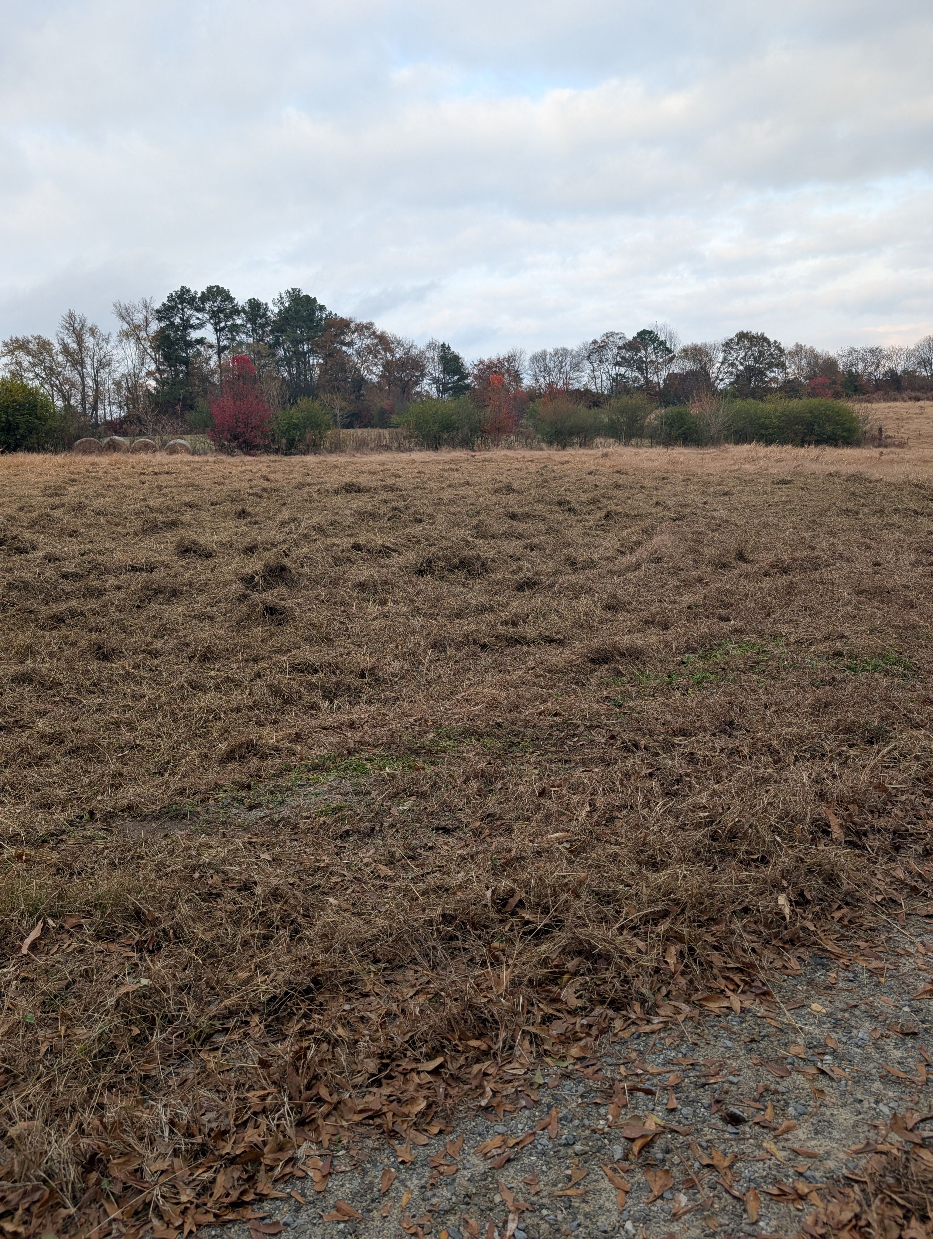 Eagle Point Dry Dock