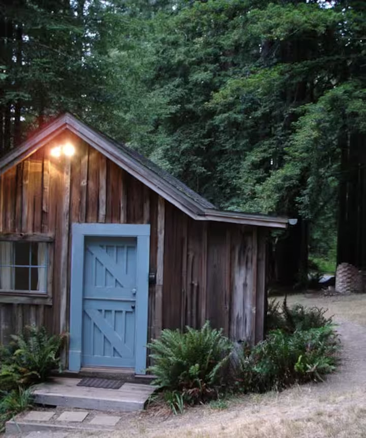 Cabin in Redwood Giants