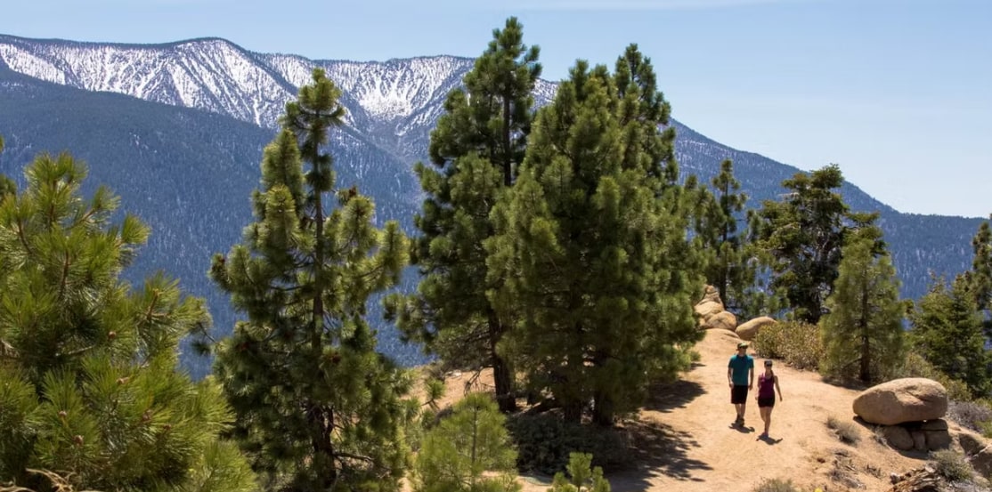 Three Pines Cabin | Boulder Bay