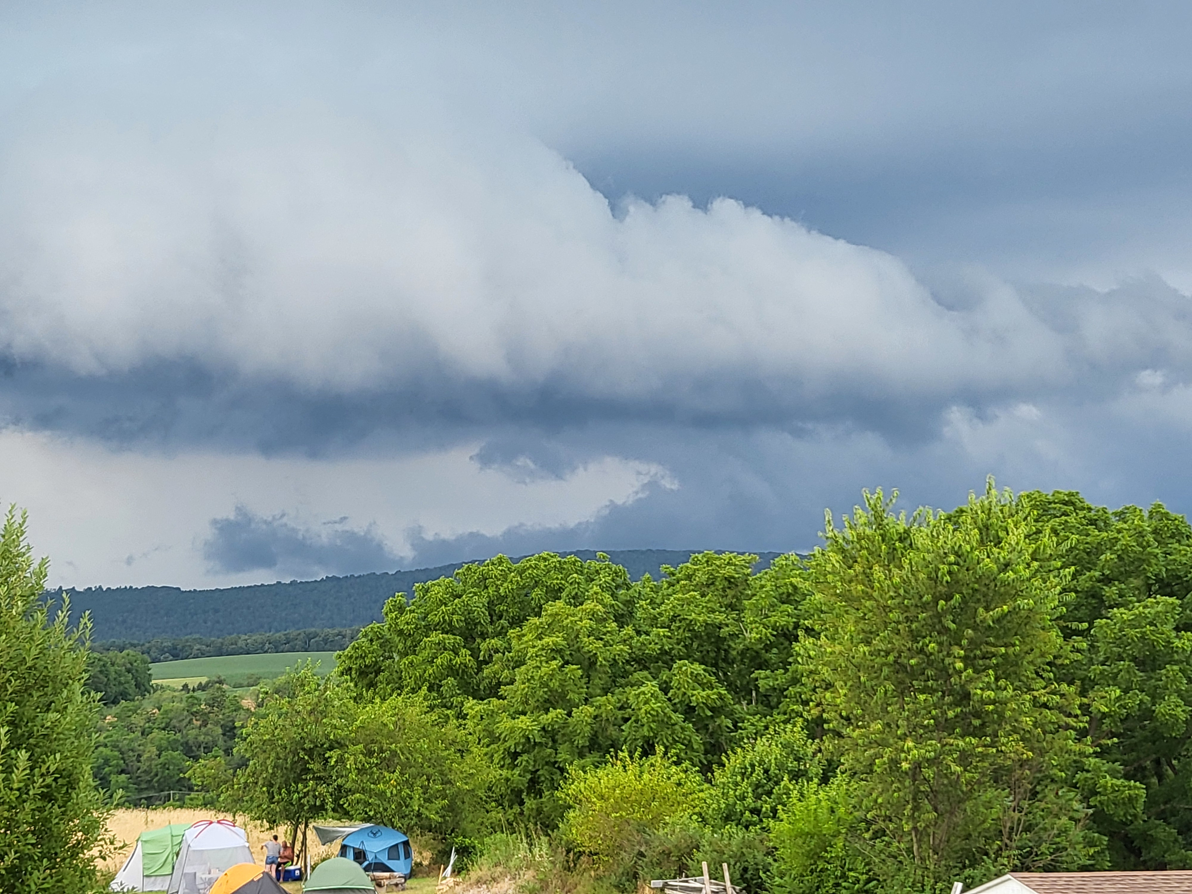 The Bear's Hiking Club Campsites