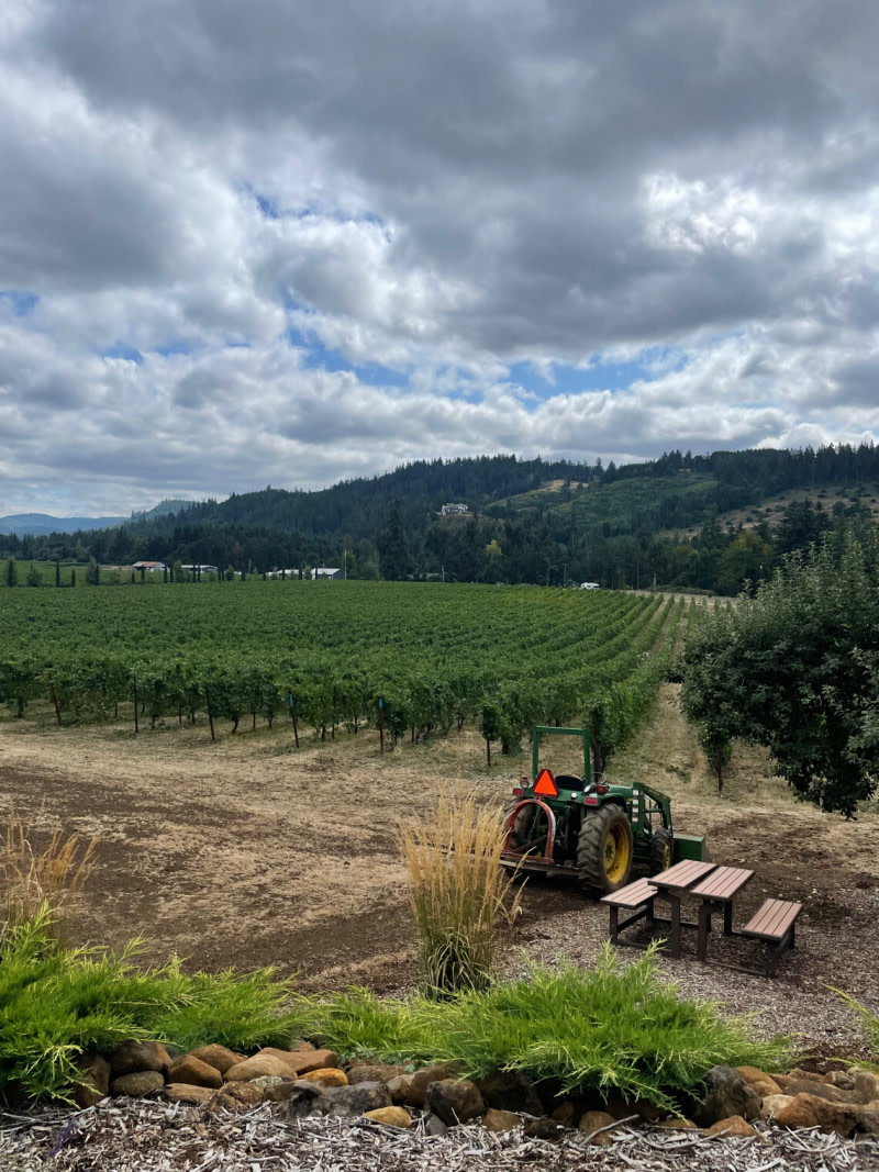 Family-Owned Oregon Vineyard
