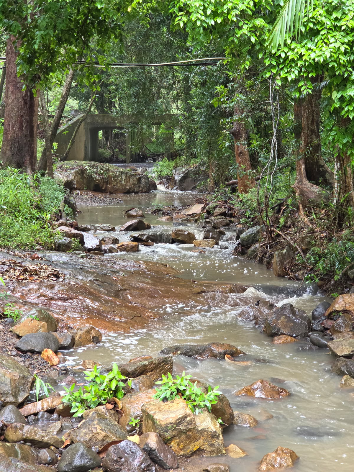 Chacara Creekside Camp