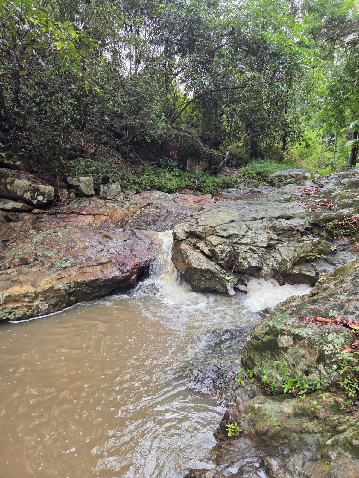 Chacara Creekside Camp