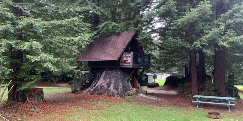 Redwood Family Camp