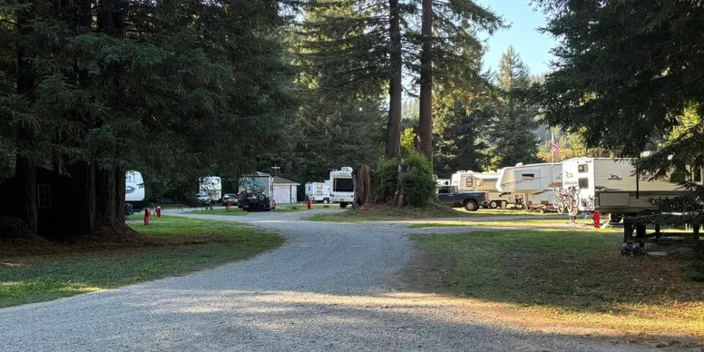 Redwood Family Camp