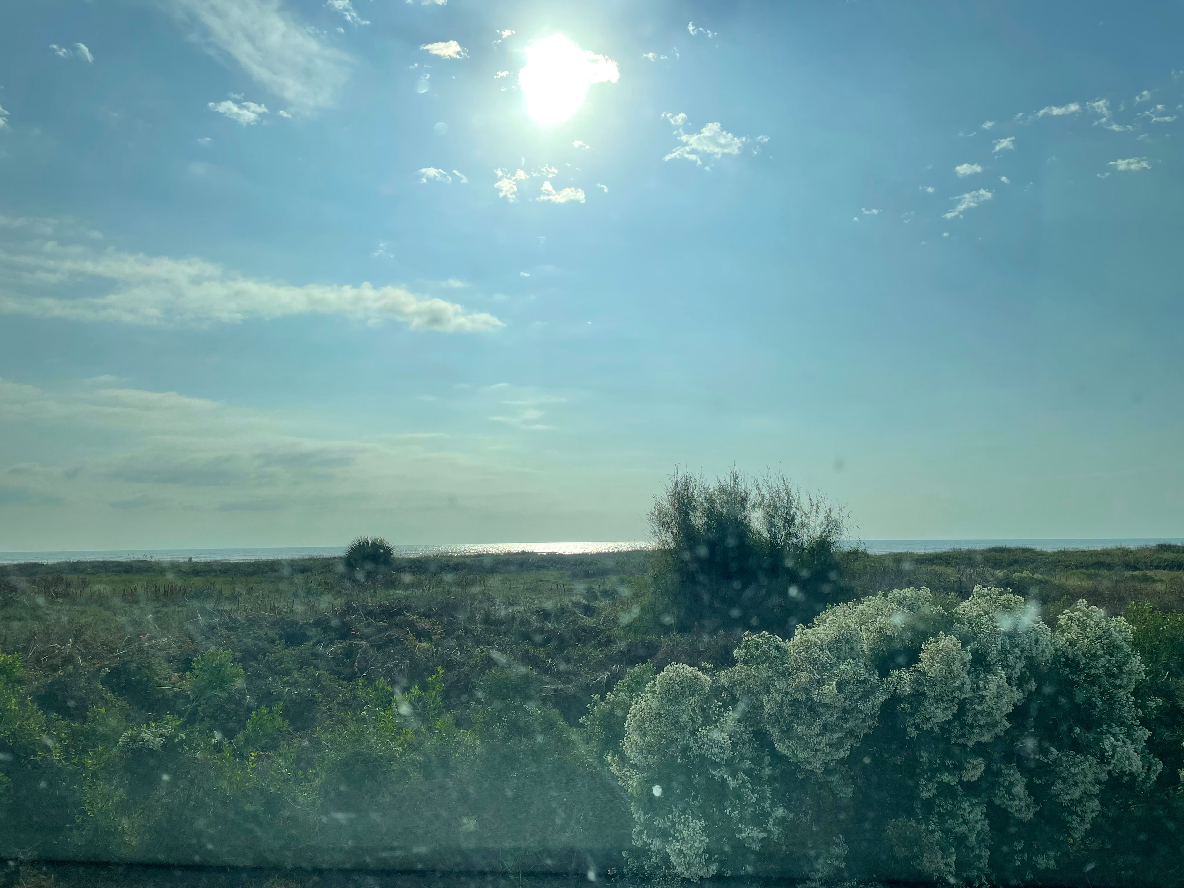 View of the Gulf from camp