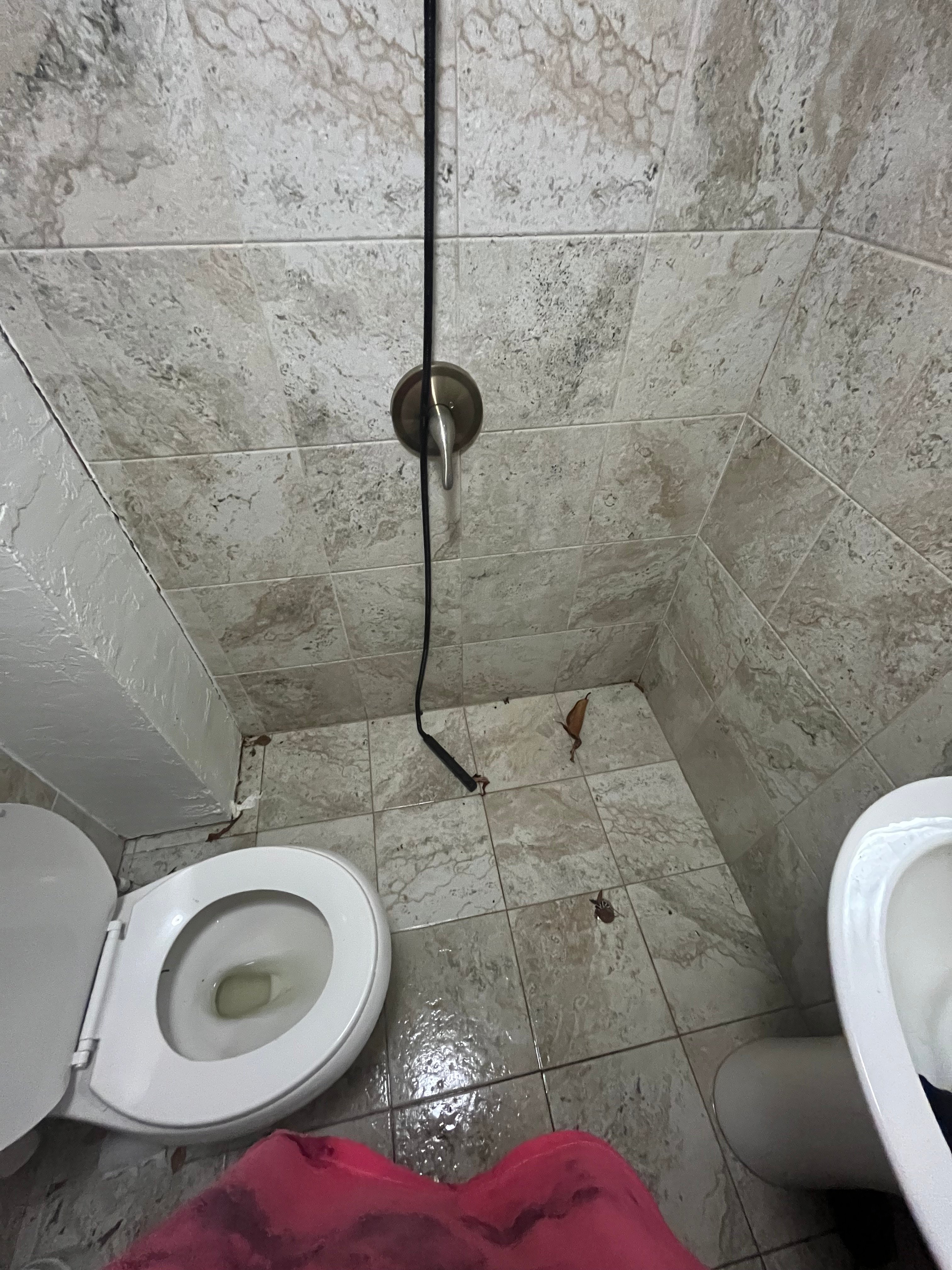 Wonderland Camping. Music and Arts