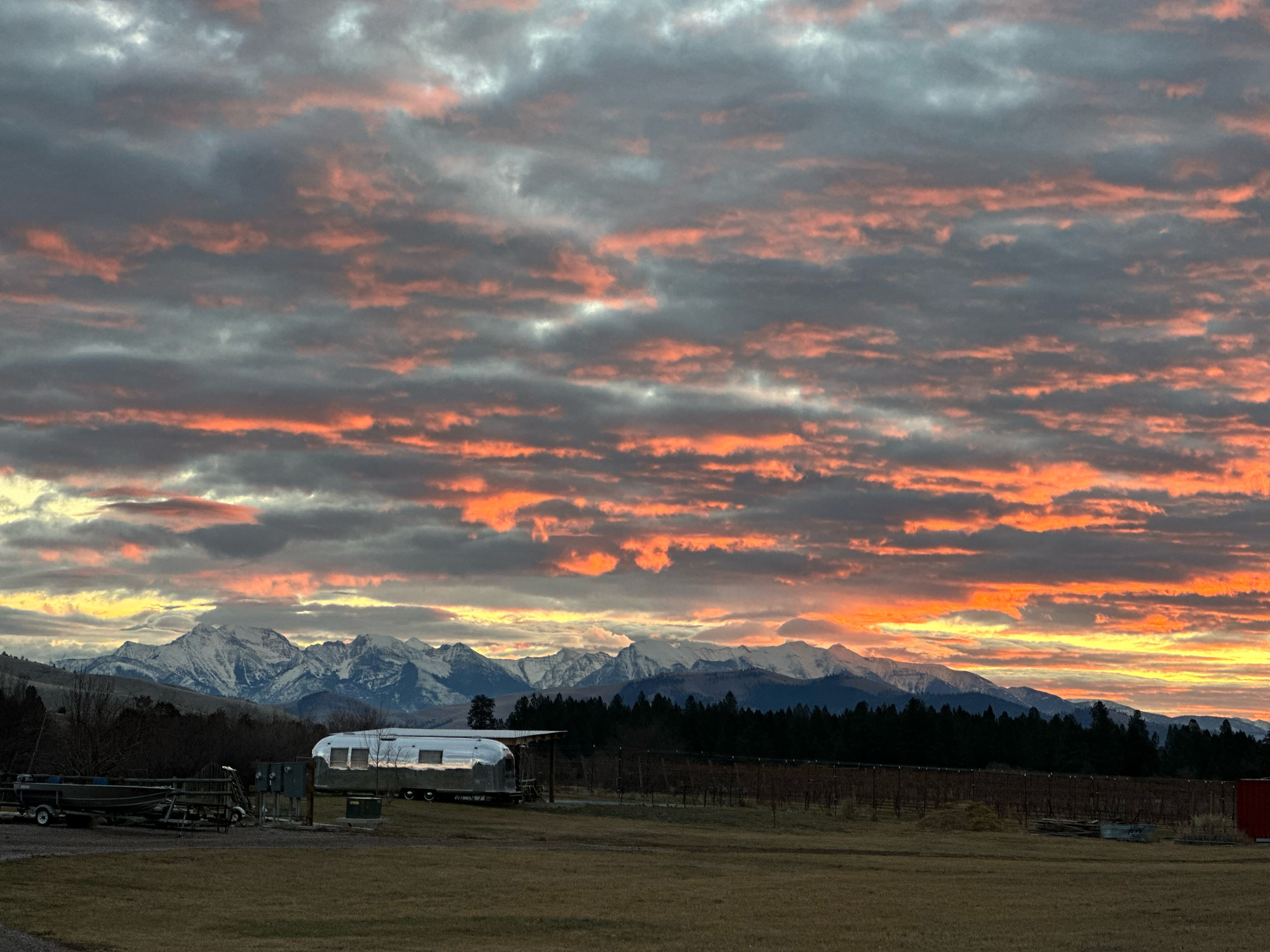 Flathead River Vineyard