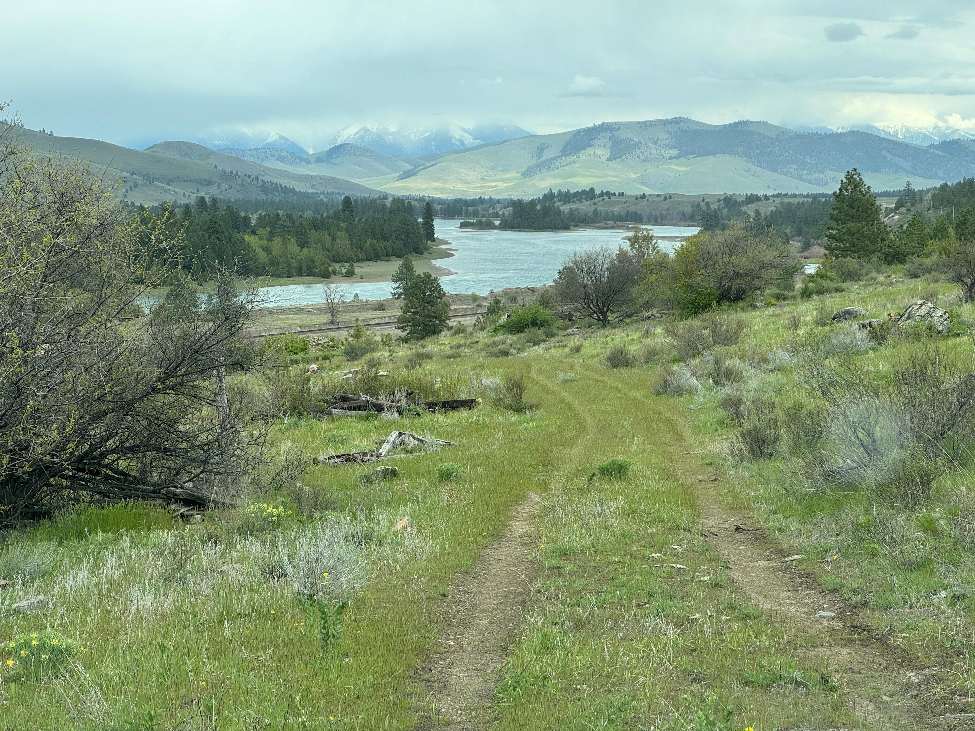 Flathead River Vineyard
