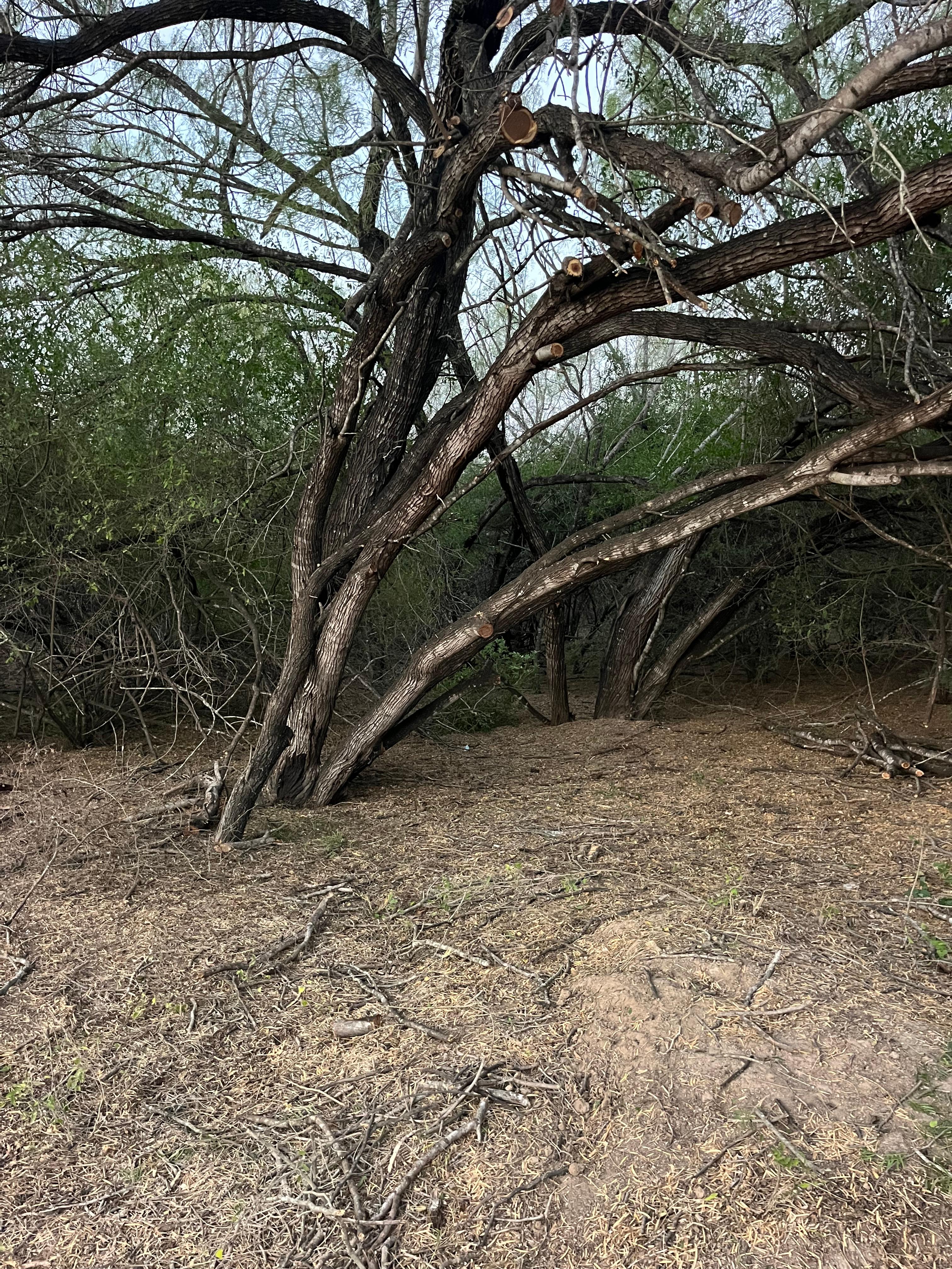 Estrella Cabin Ranch