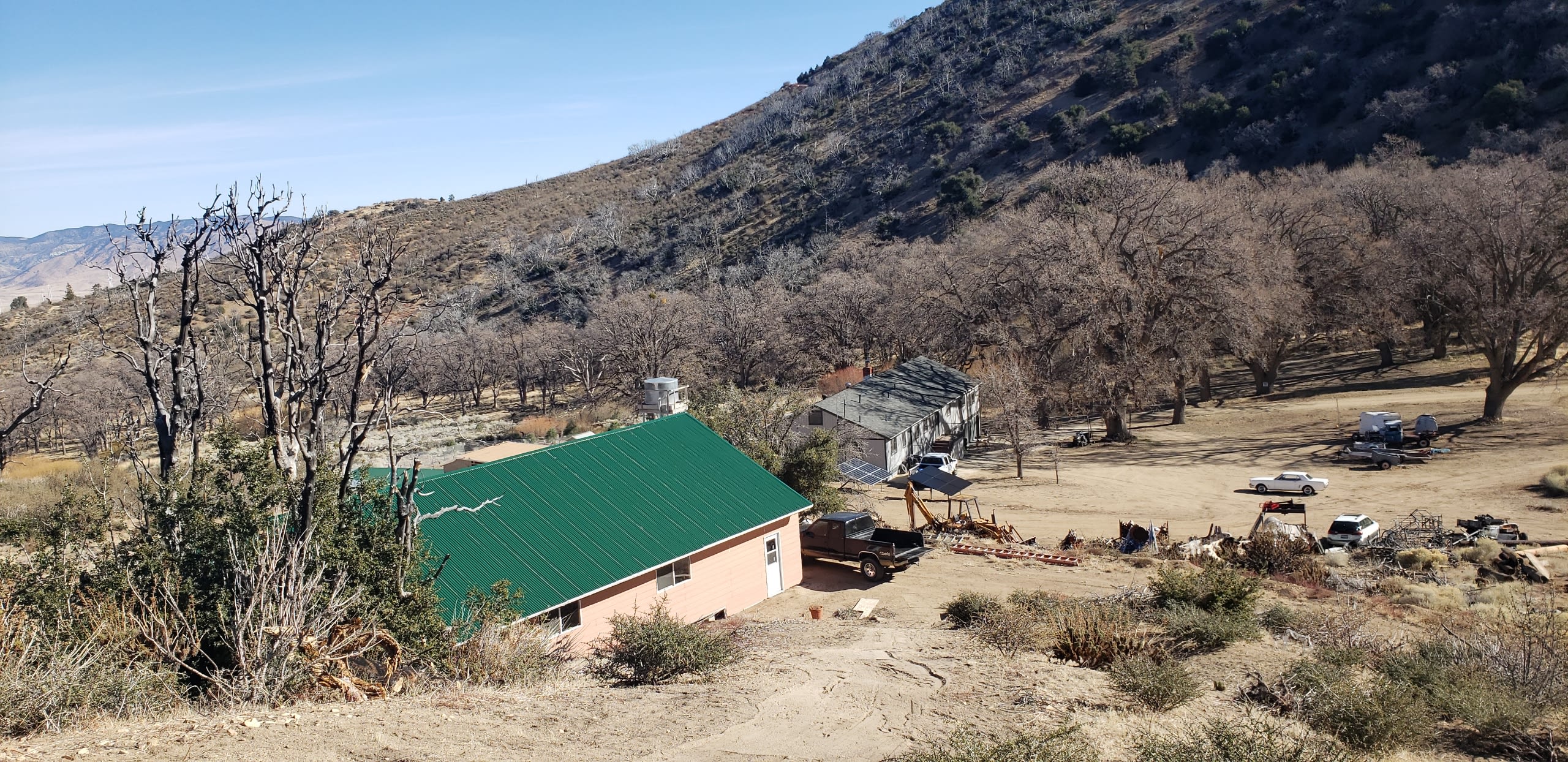 Figgs Farm & Herbal Essentials