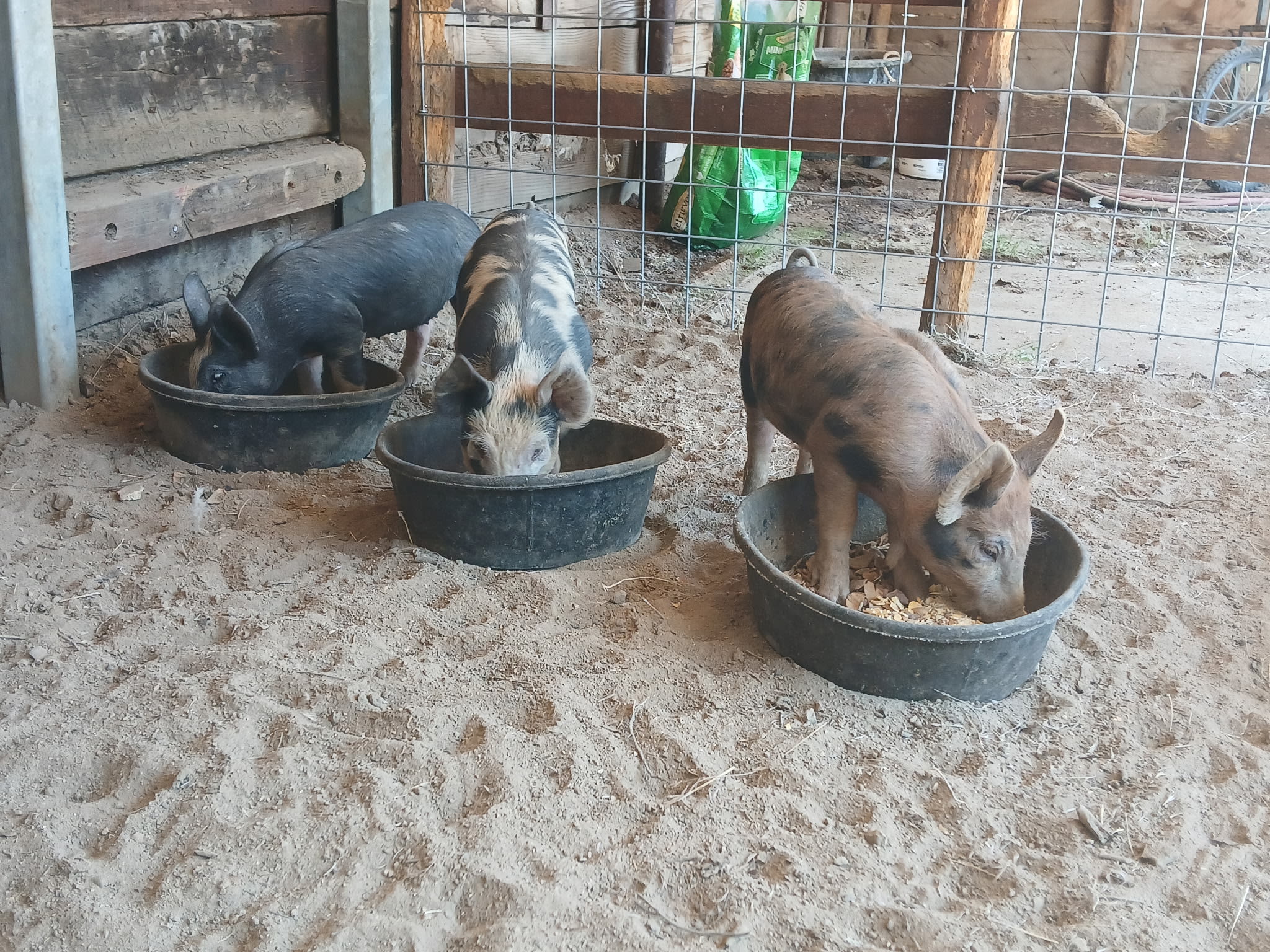 Figgs Farm & Herbal Essentials