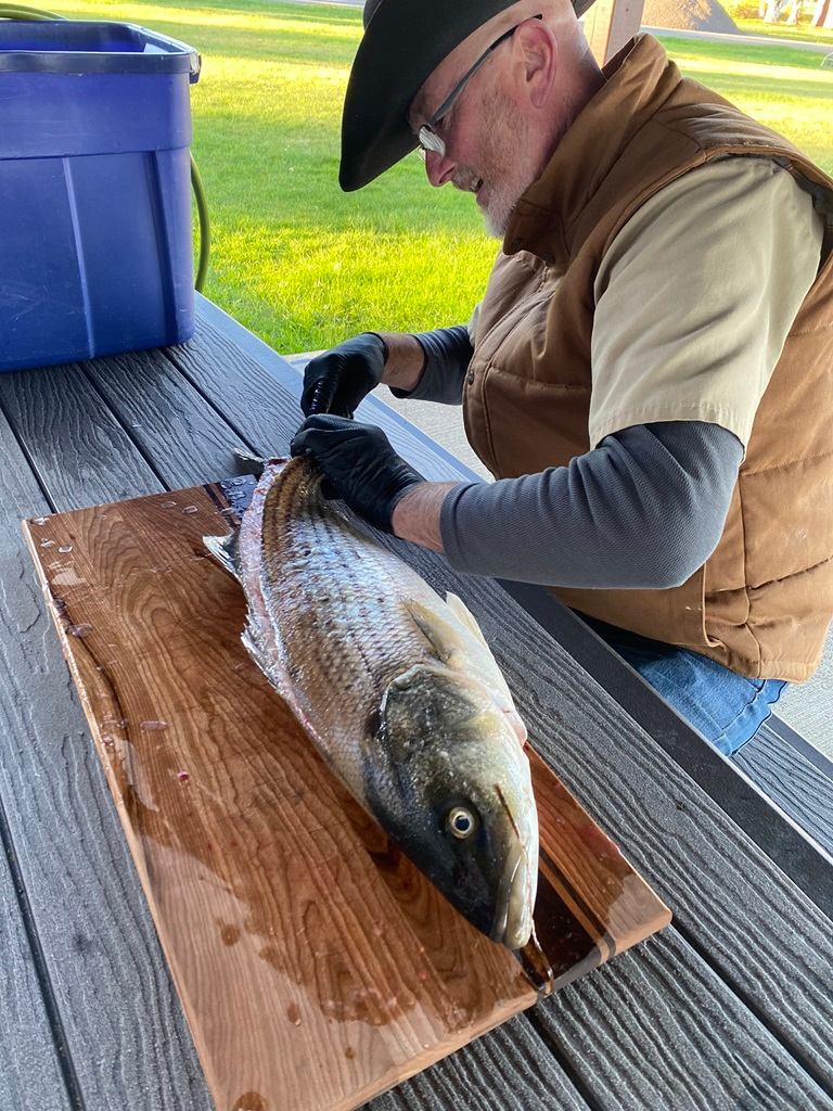 Ocean River RV Resort & Campground