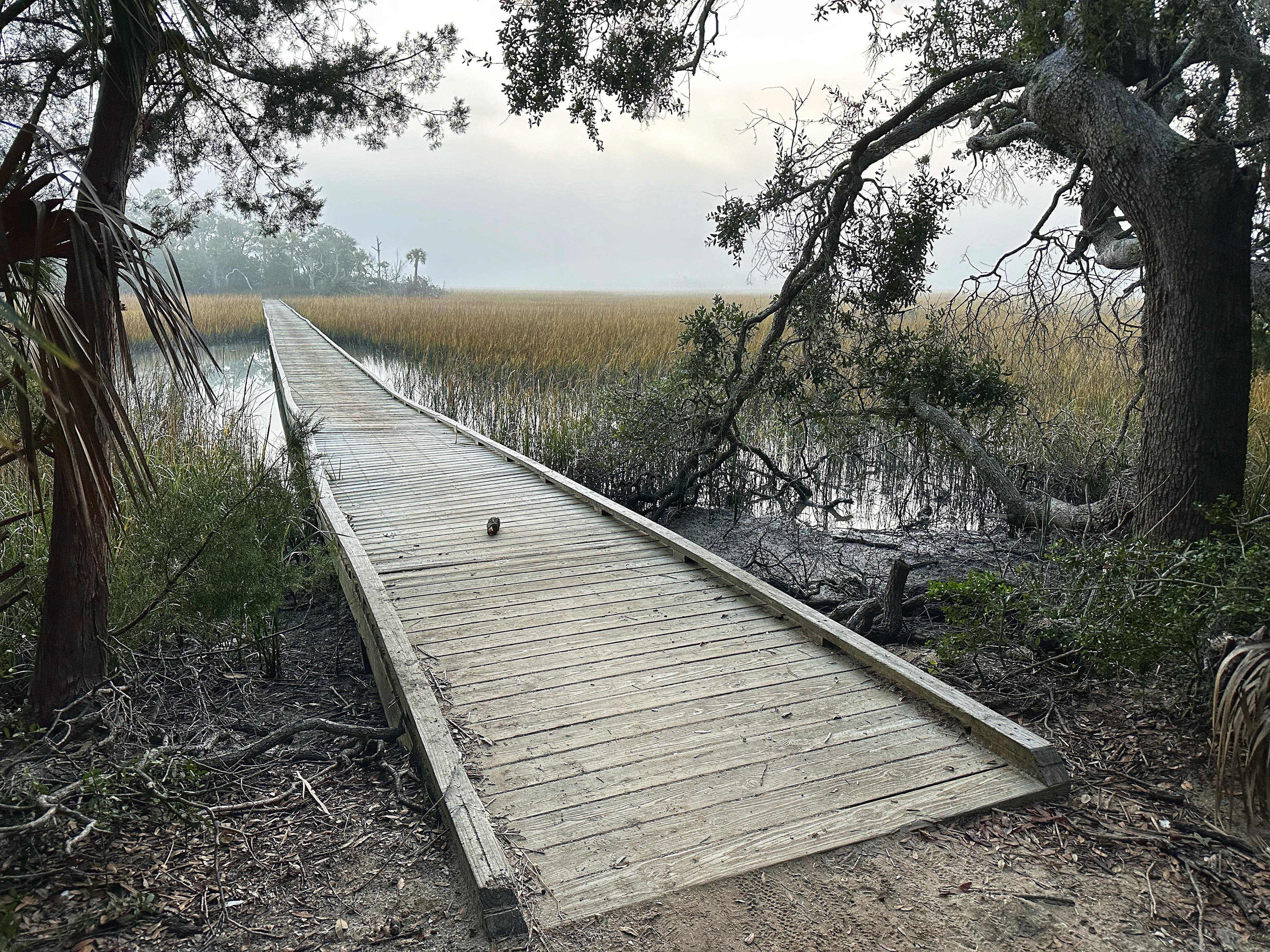 Edisto Beach Campground