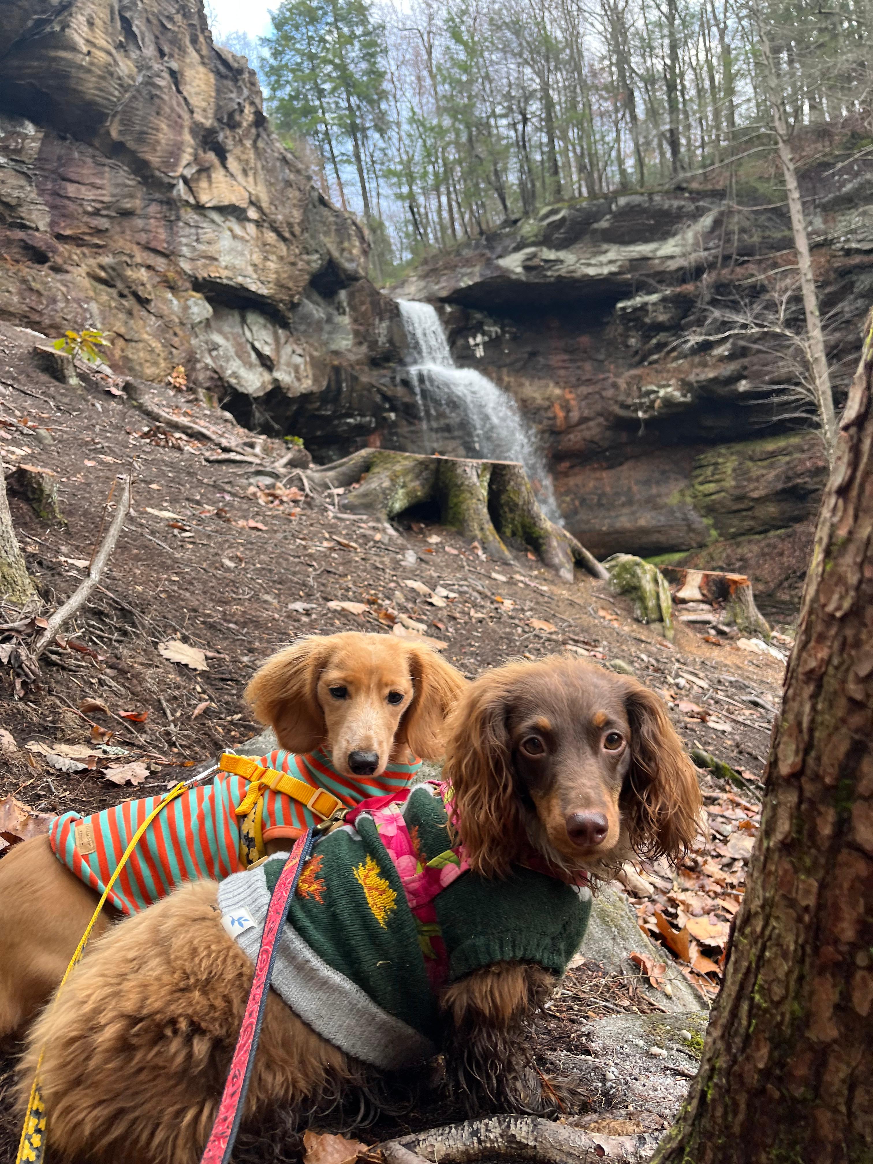 Spacious Skies Belle Ridge - RV/Tent Sites