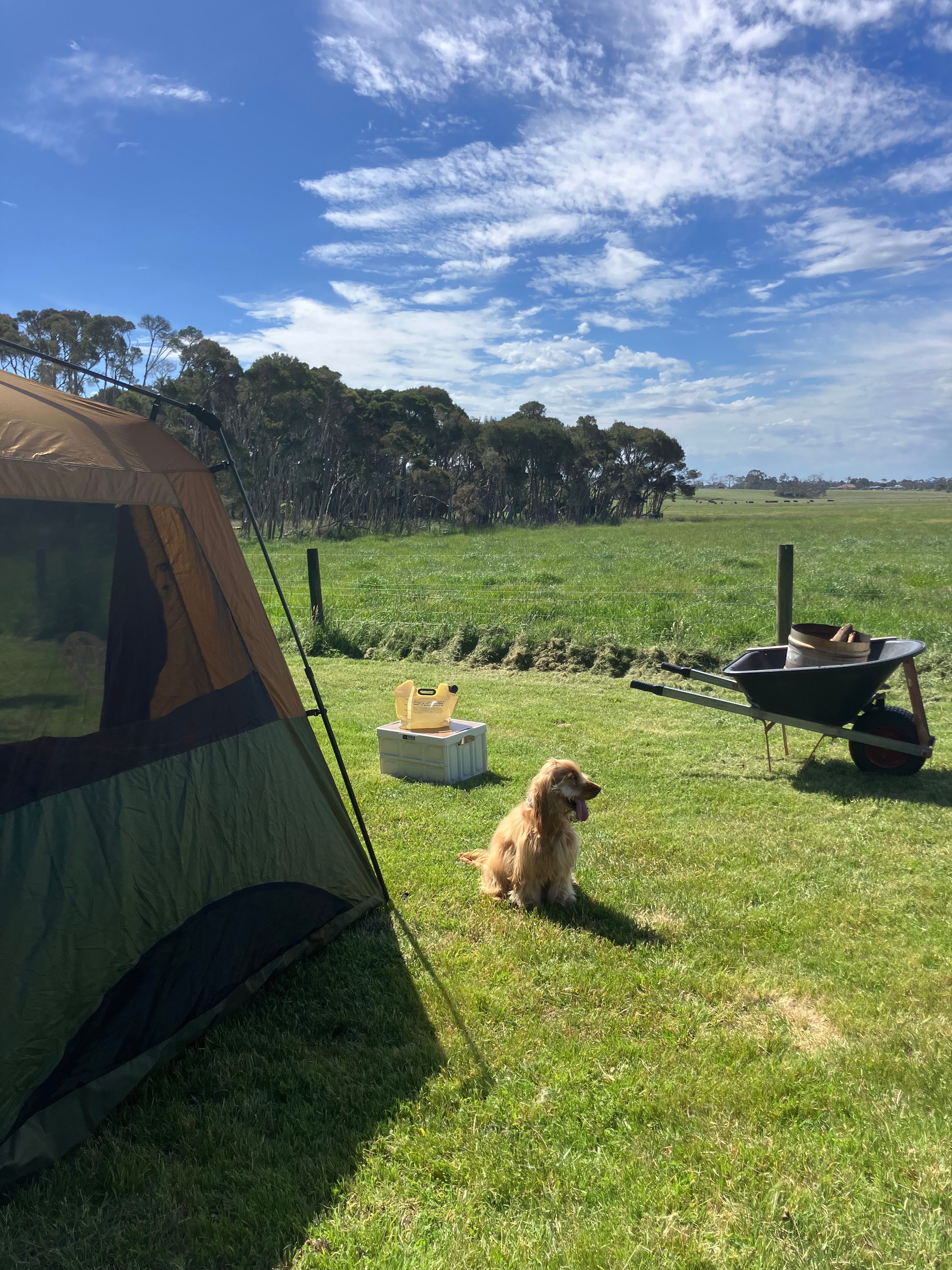 Green Gully Farmstay Camp Paddock