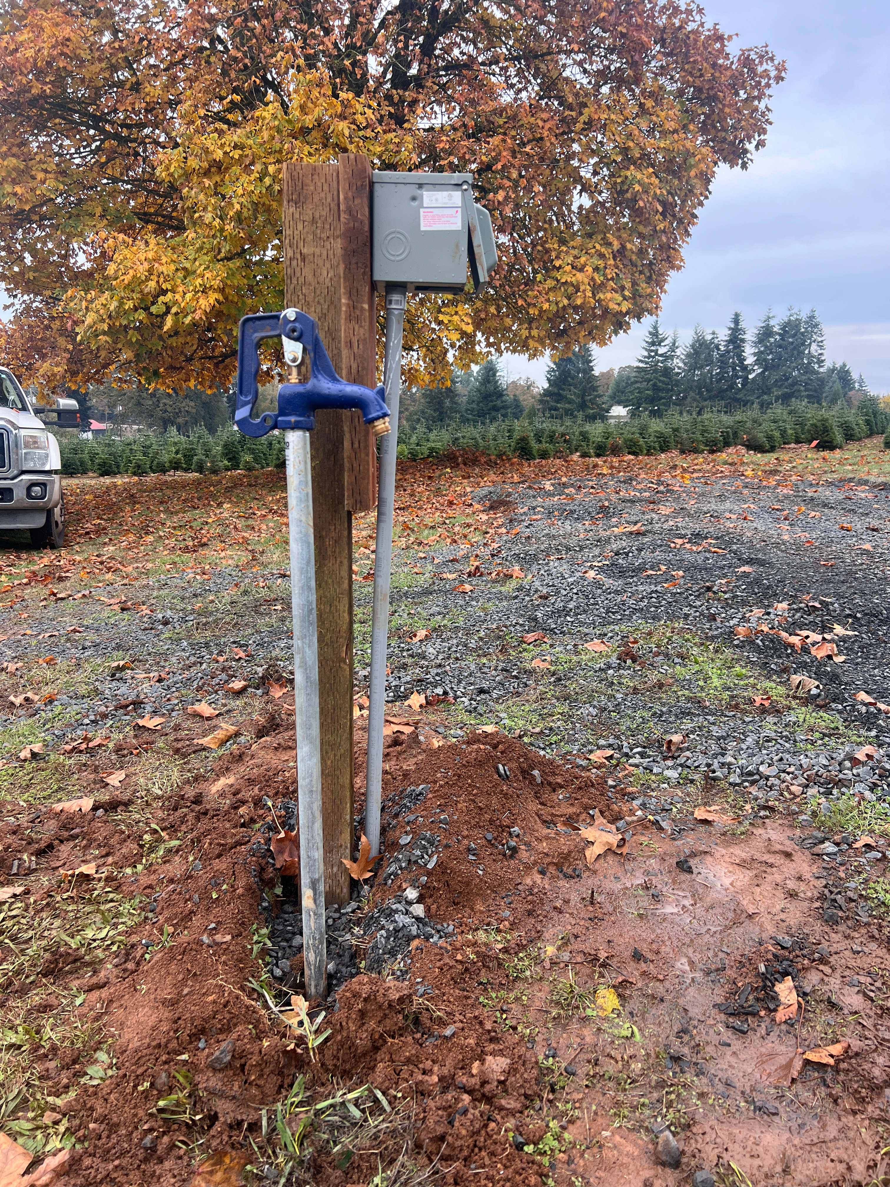 Christmas Tree Ridge