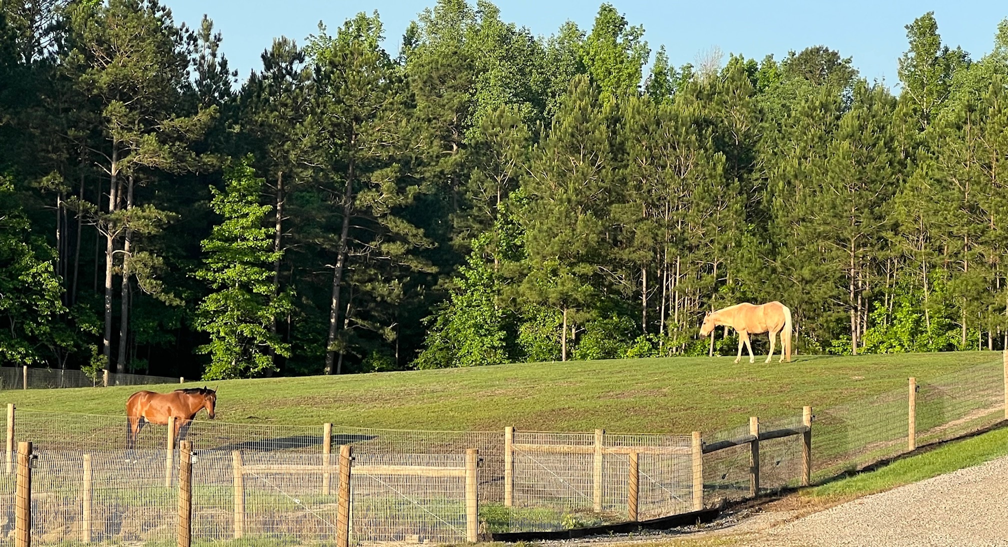 Clibberswick Stables