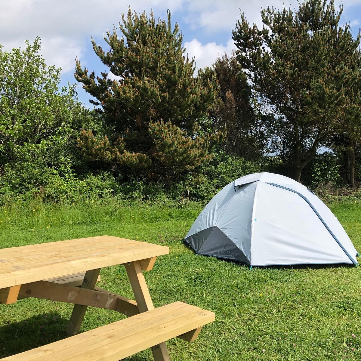 The Owl Box Eco Camp