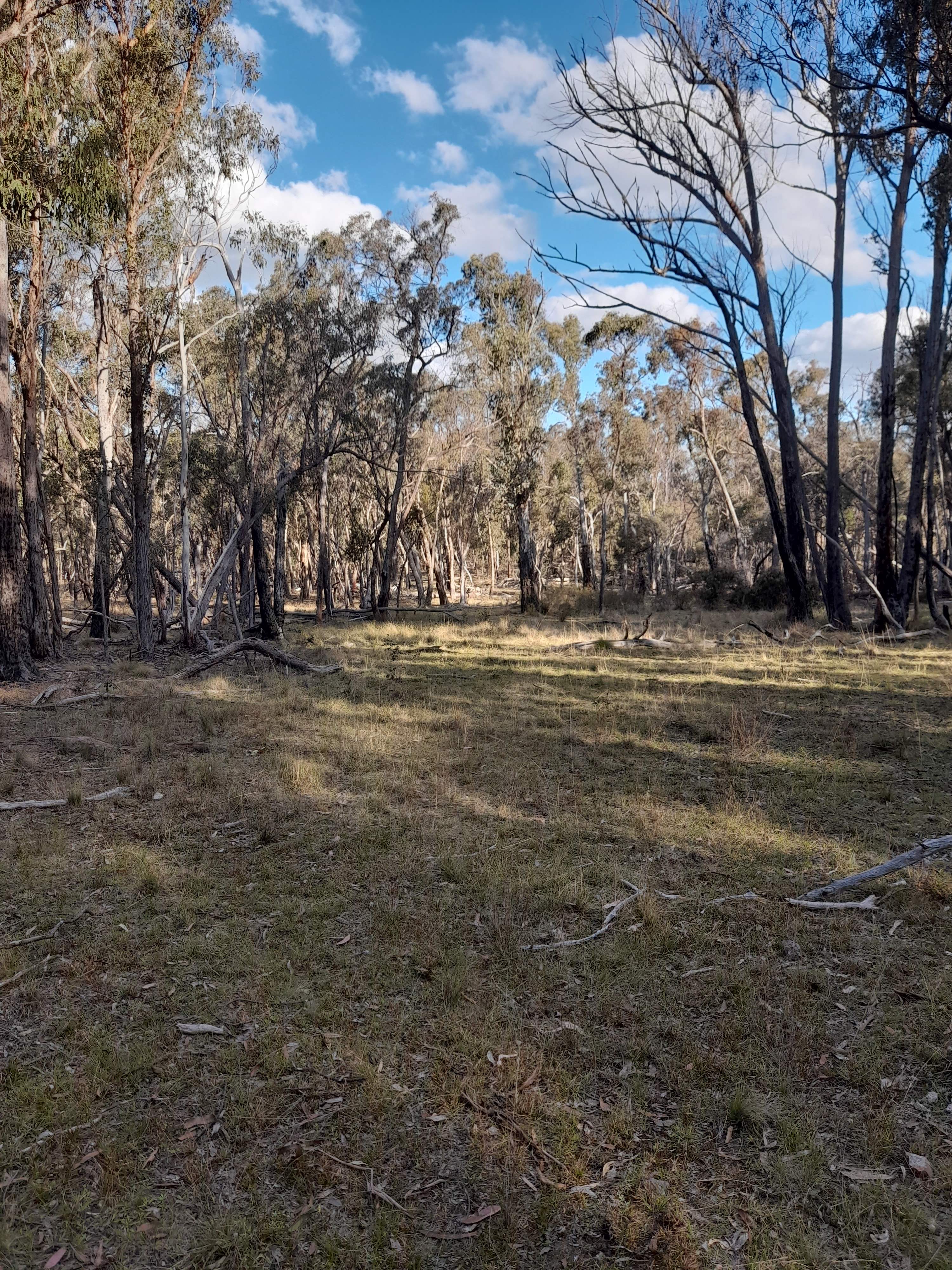 Secluded Exclusive Mountain Camping