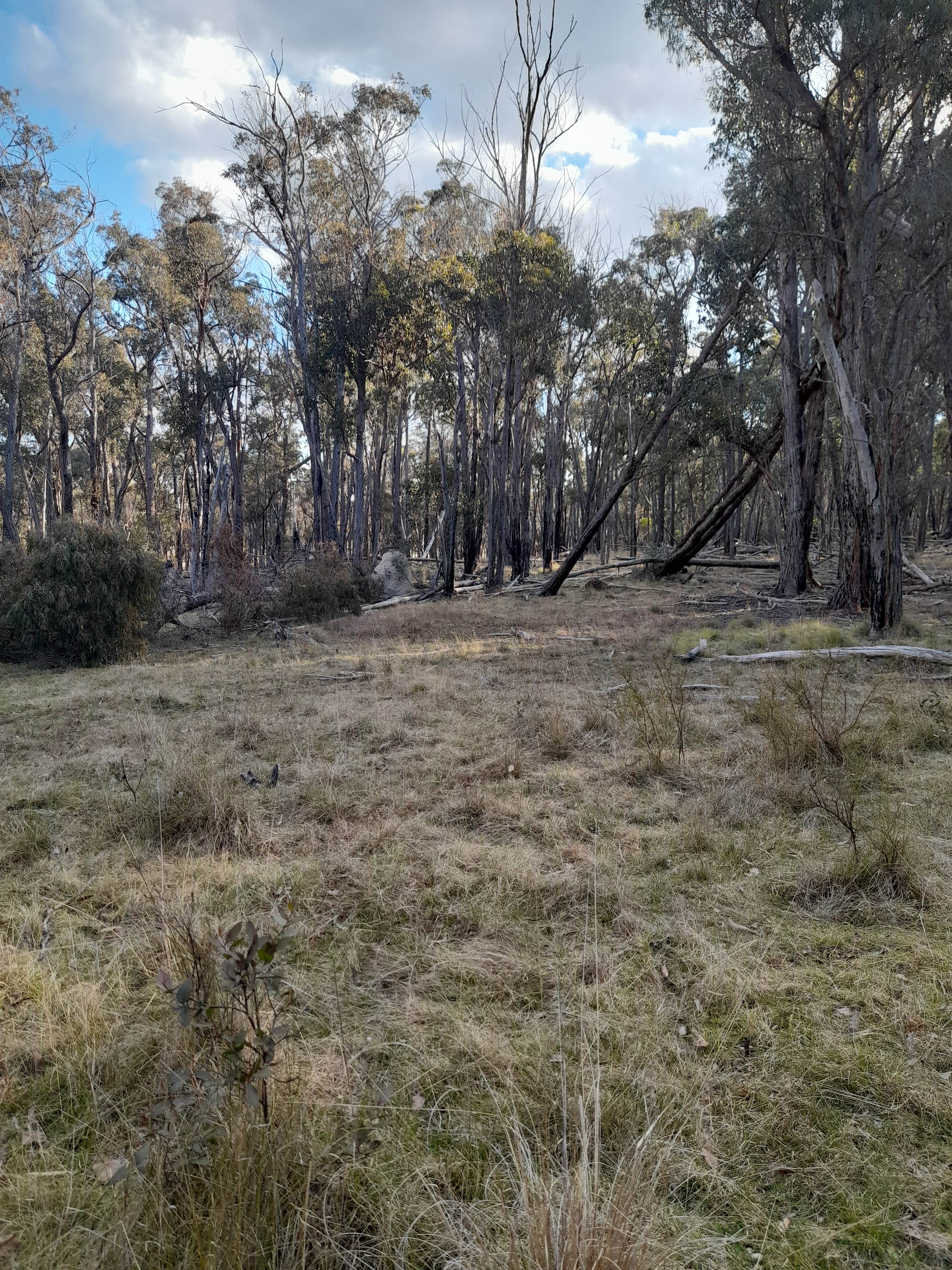 Secluded Exclusive Mountain Camping