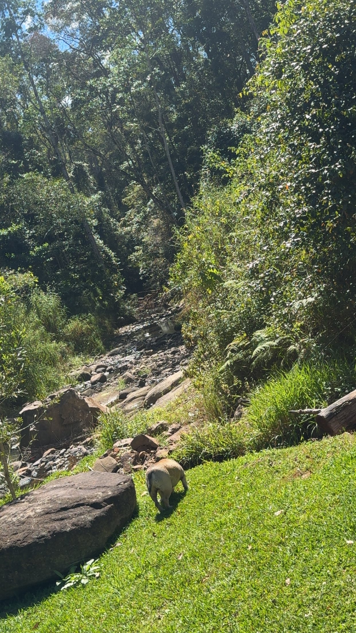 Trickling Waters Retreat