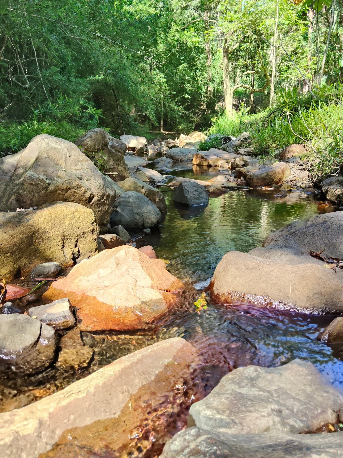 Chacara Creekside Camp