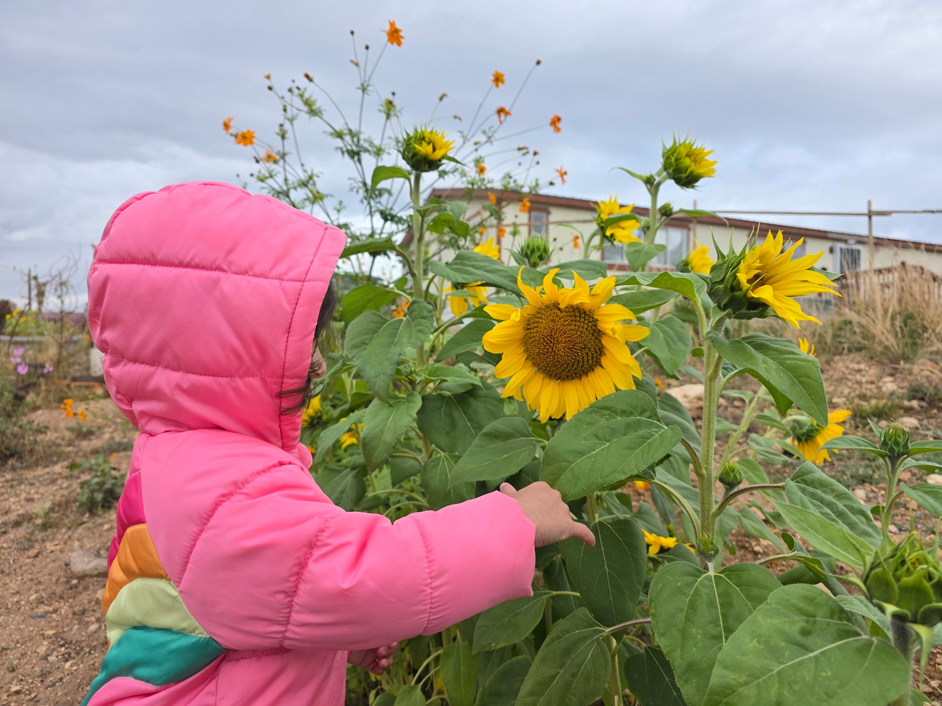 A Quiet Place Near Sedona