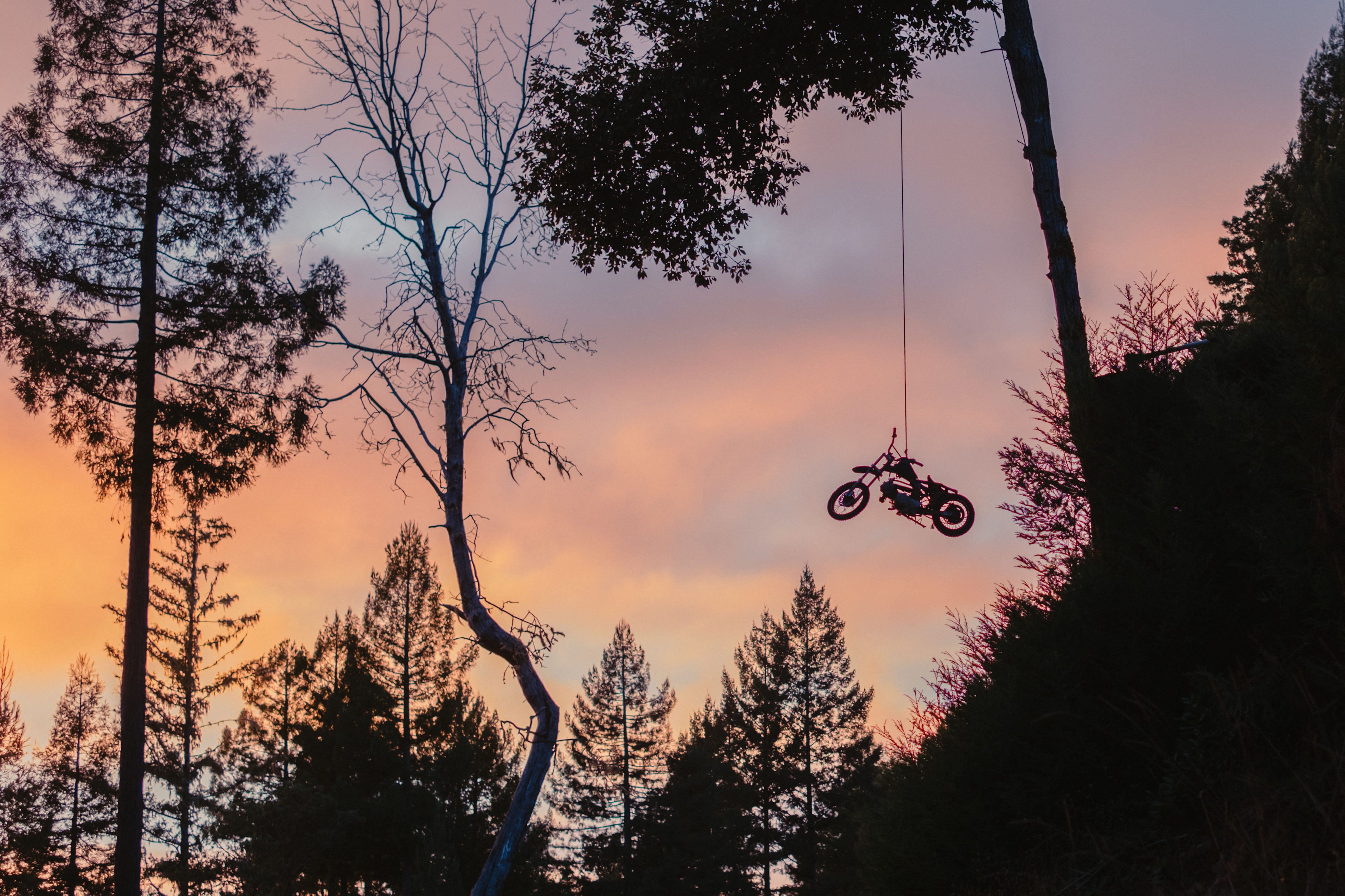 one of the motorcycles dangling in the tree