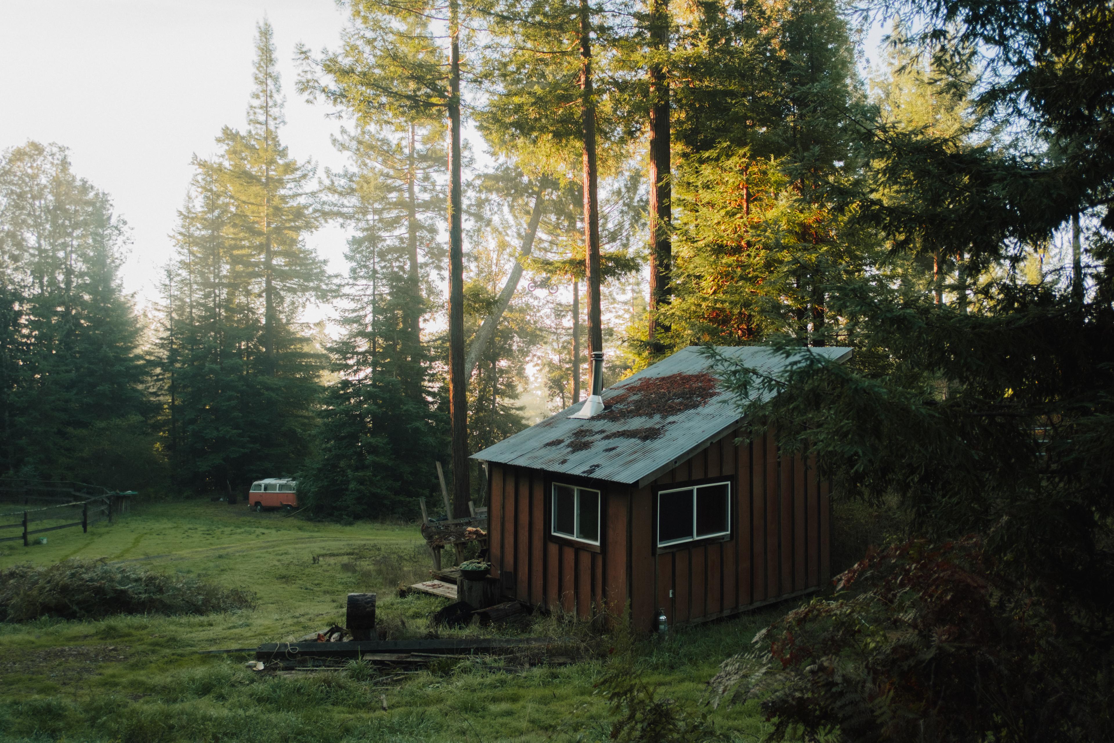 from the driveway looking down on the cabin