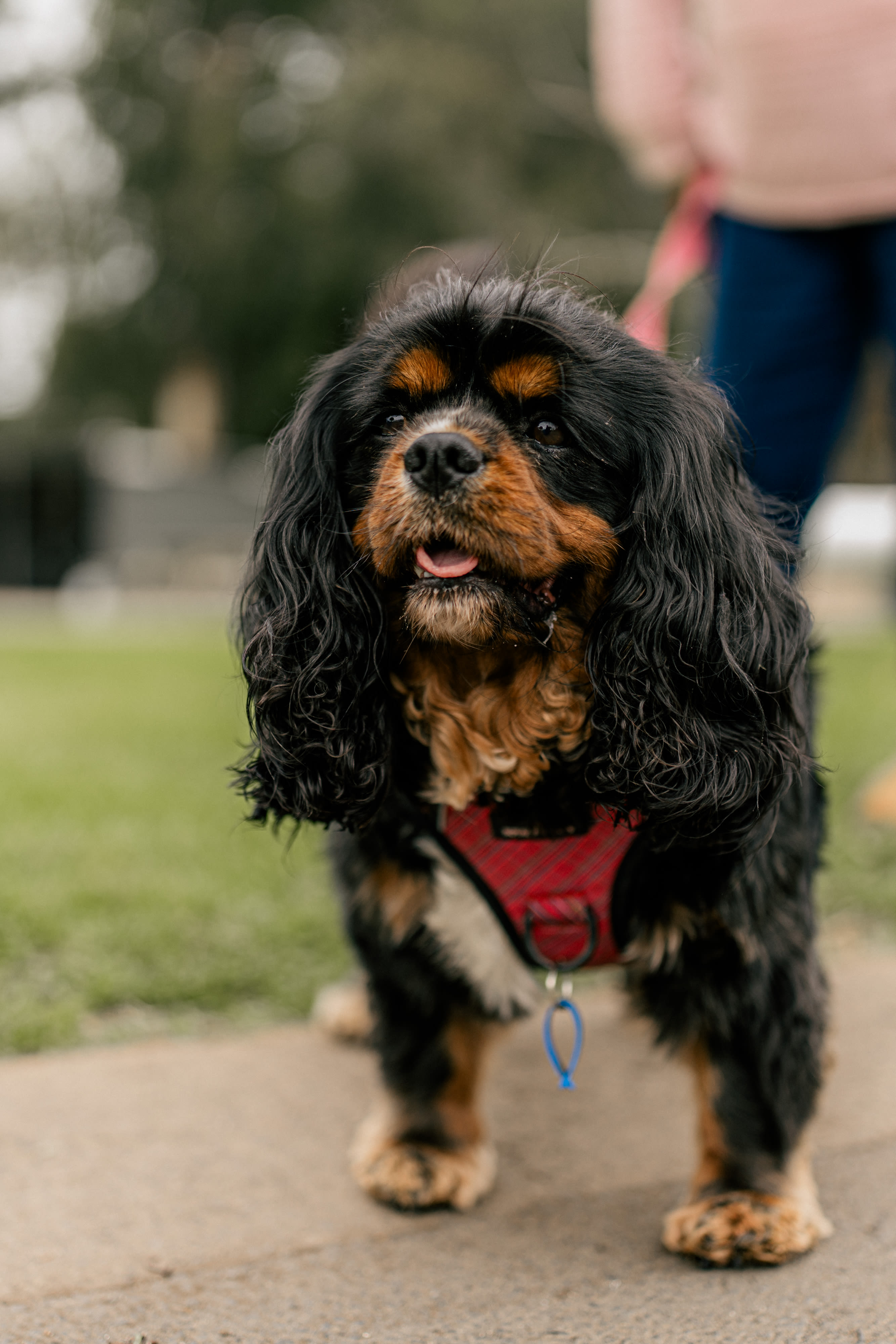 Pine Country Caravan Park