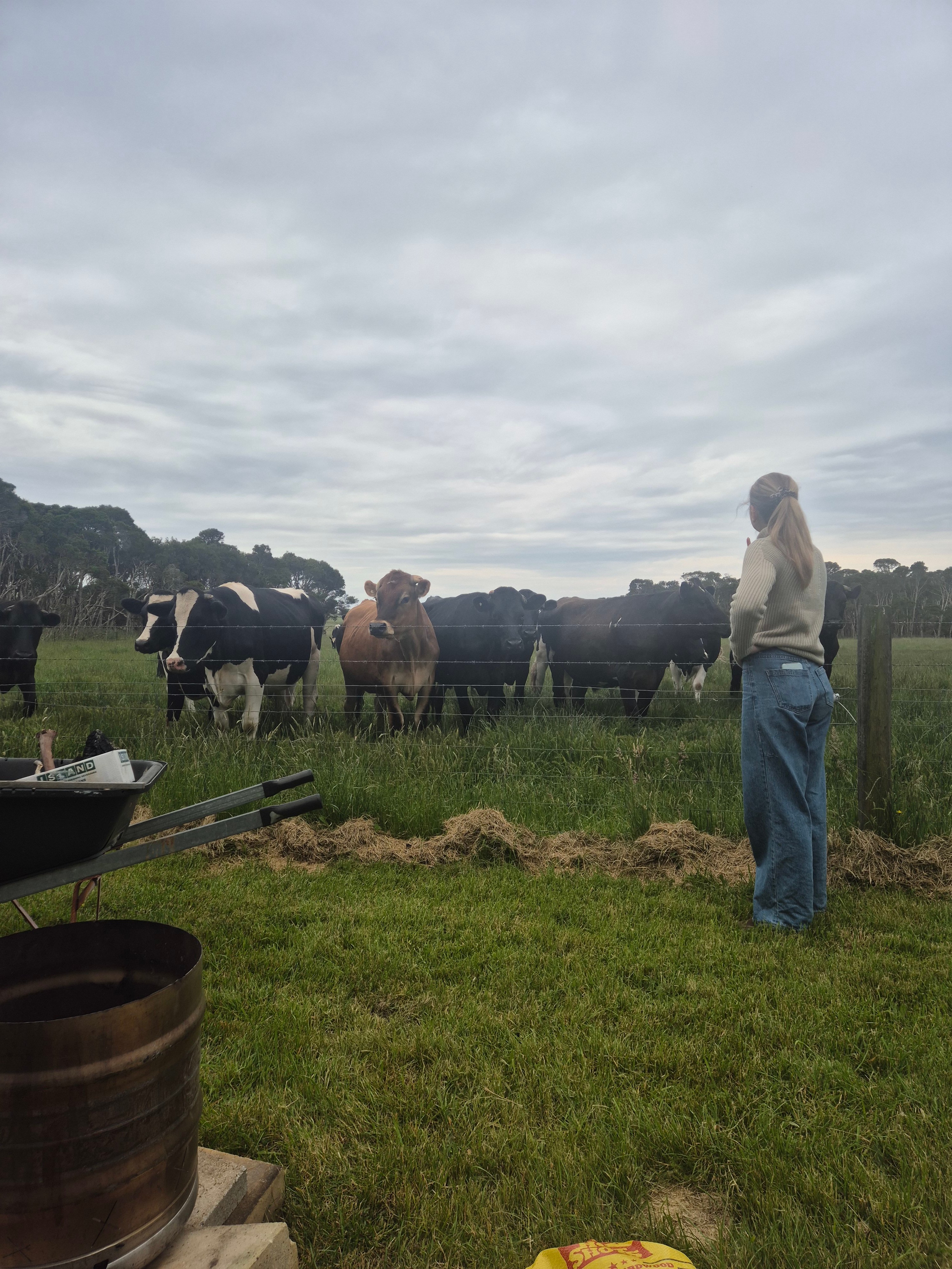 Green Gully Farmstay Camp Paddock