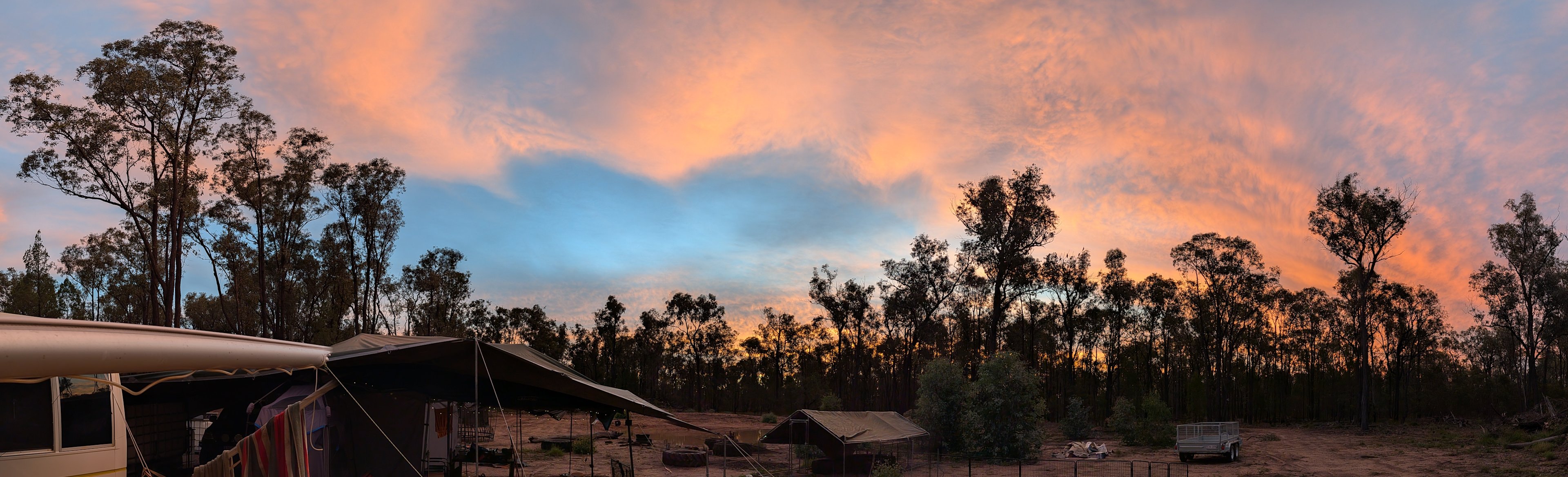 Mahon Hives at Avondale Farm