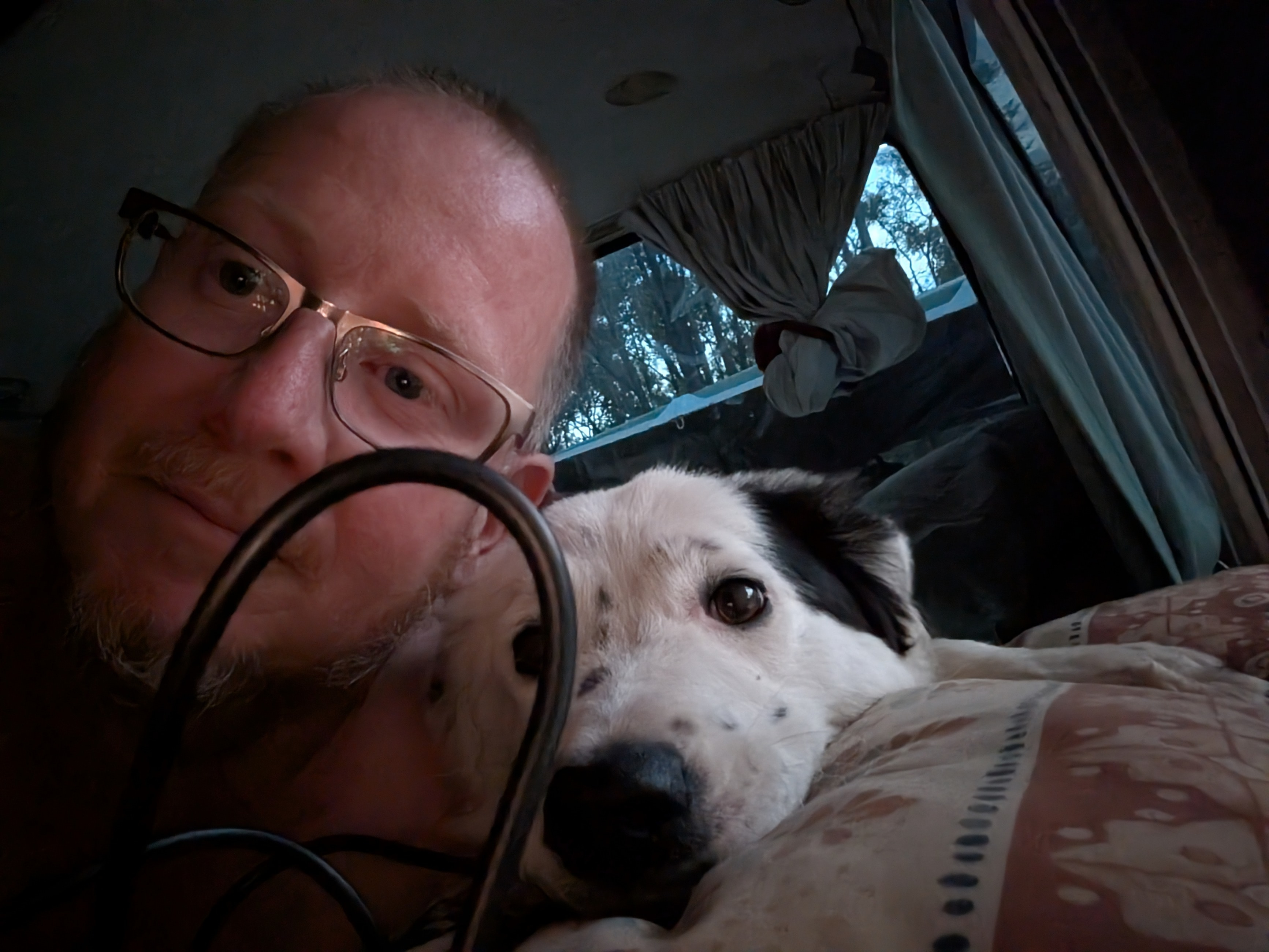 Mahon Hives at Avondale Farm