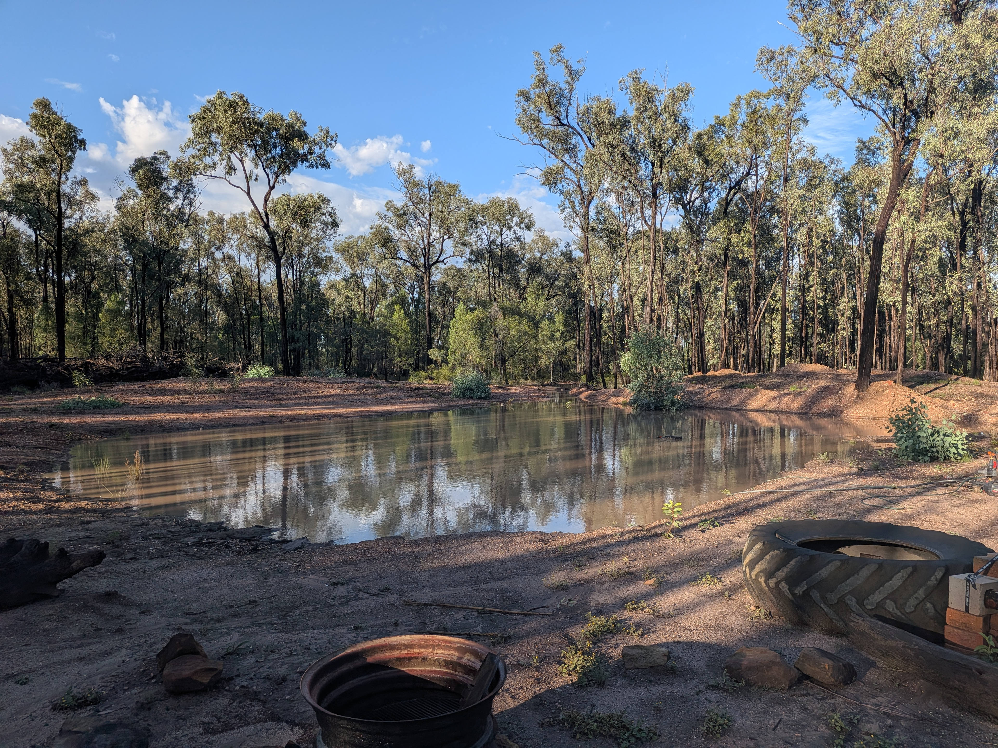 Mahon Hives at Avondale Farm