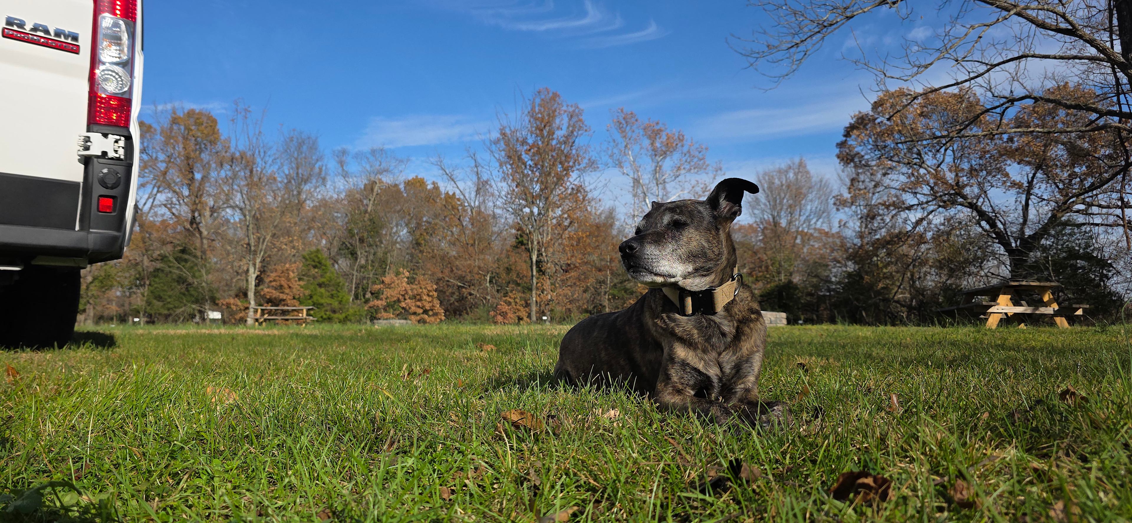 The Boondock at Hand Cut Hollow