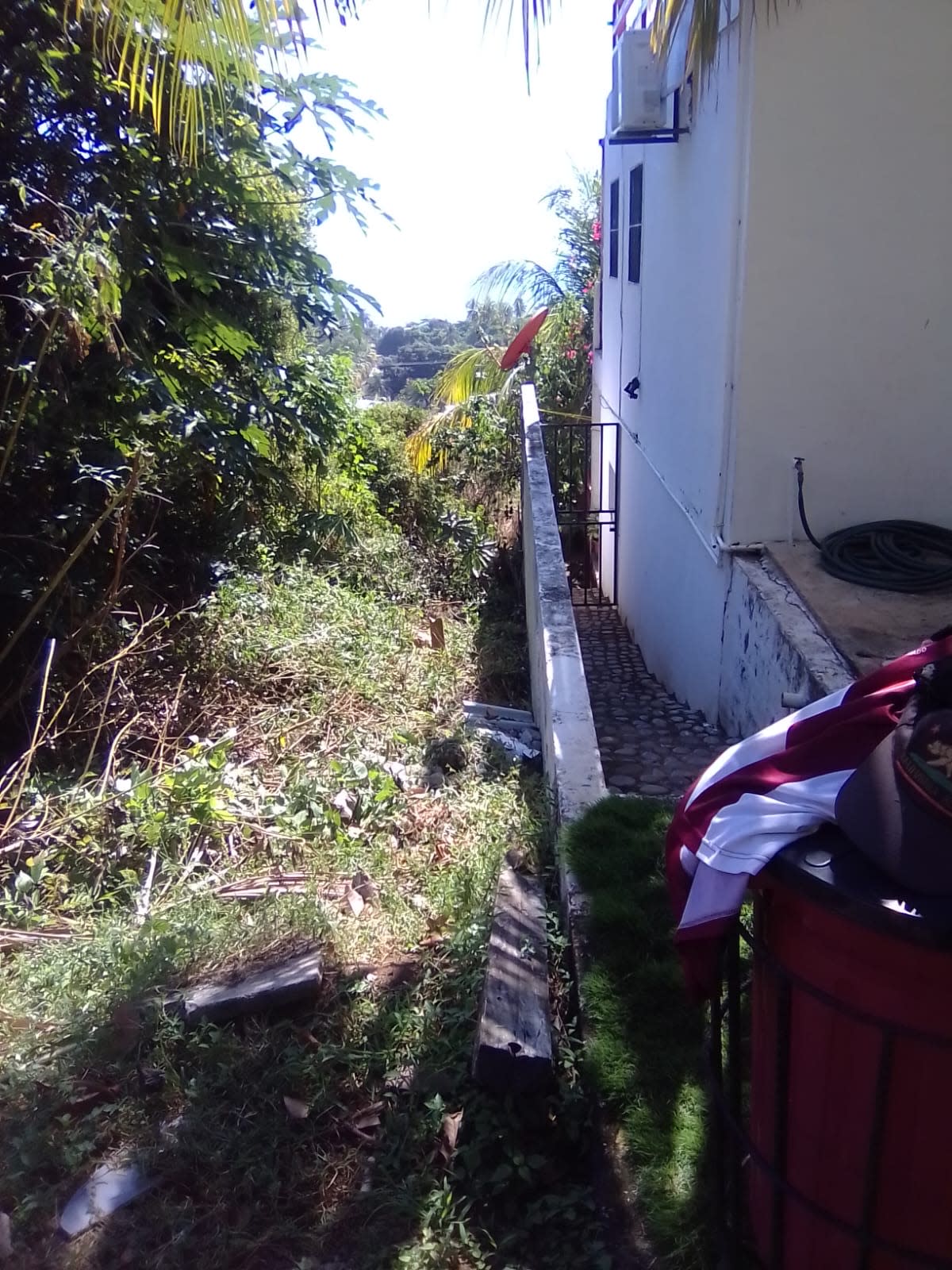 Glamping In The Woods